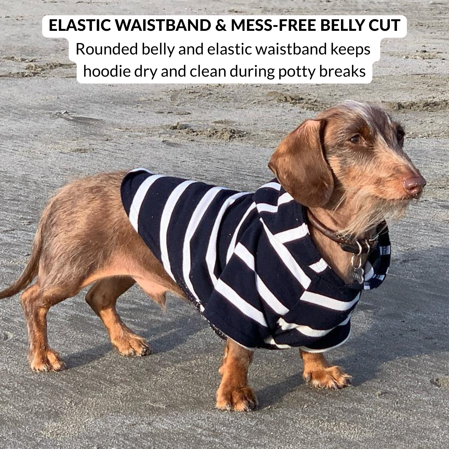 Sandy happy dog wearing a navy and white striped hoodie on a beach with text about the hoodie's features