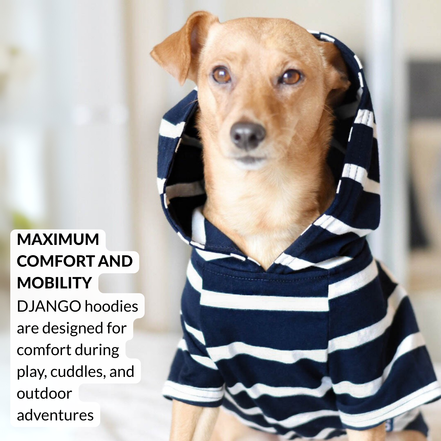 Comfortable navy striped hoodie sweatshirt for puppies and small breeds