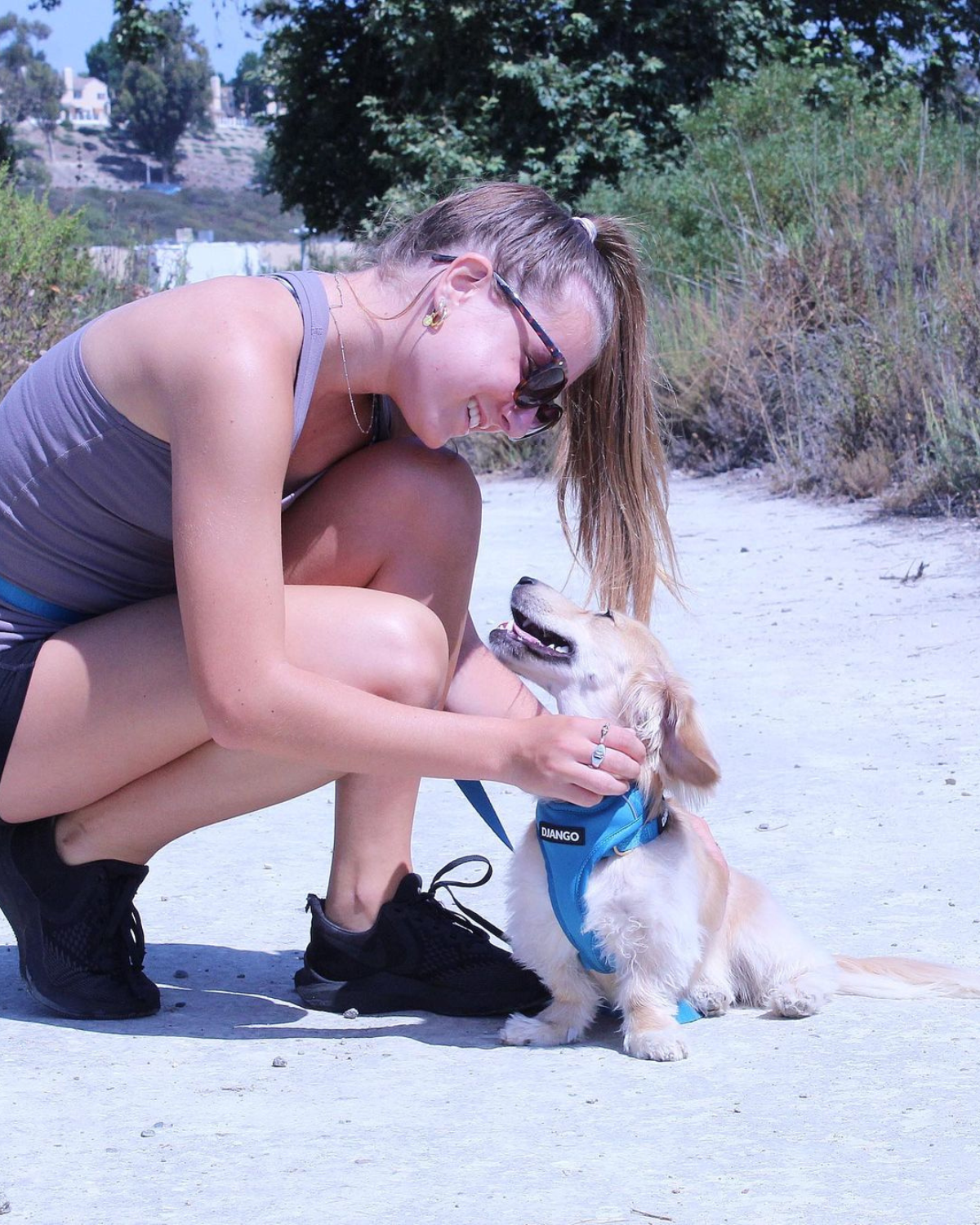 This is hands down the best harness for dachshunds and active small dog breeds including Boston terriers, Jack Russell Terriers, miniature Australian Shepherds, Pomeranians and more