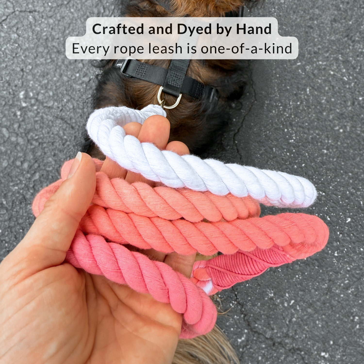 #color_quartz pink ombré