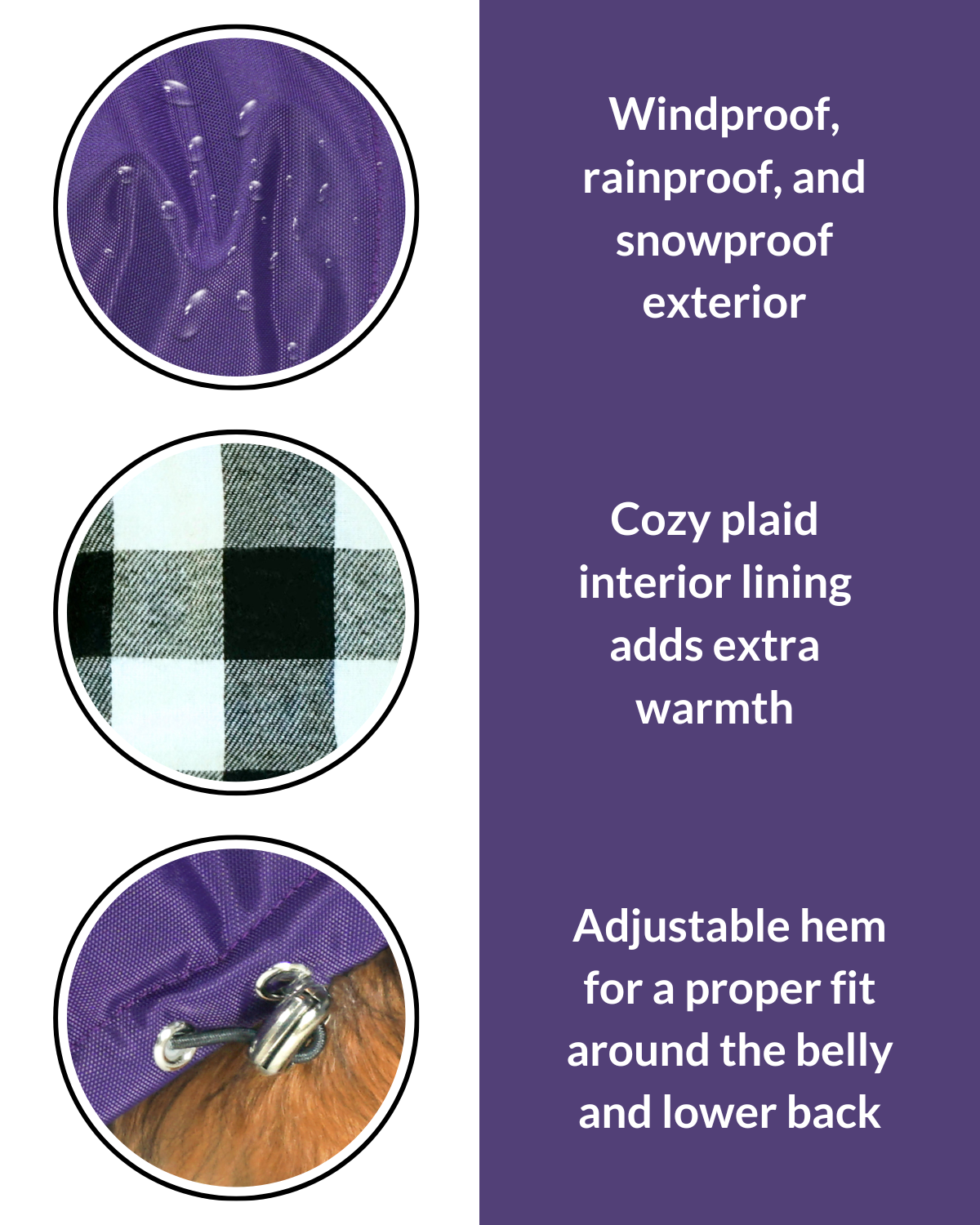 #color_violet purple