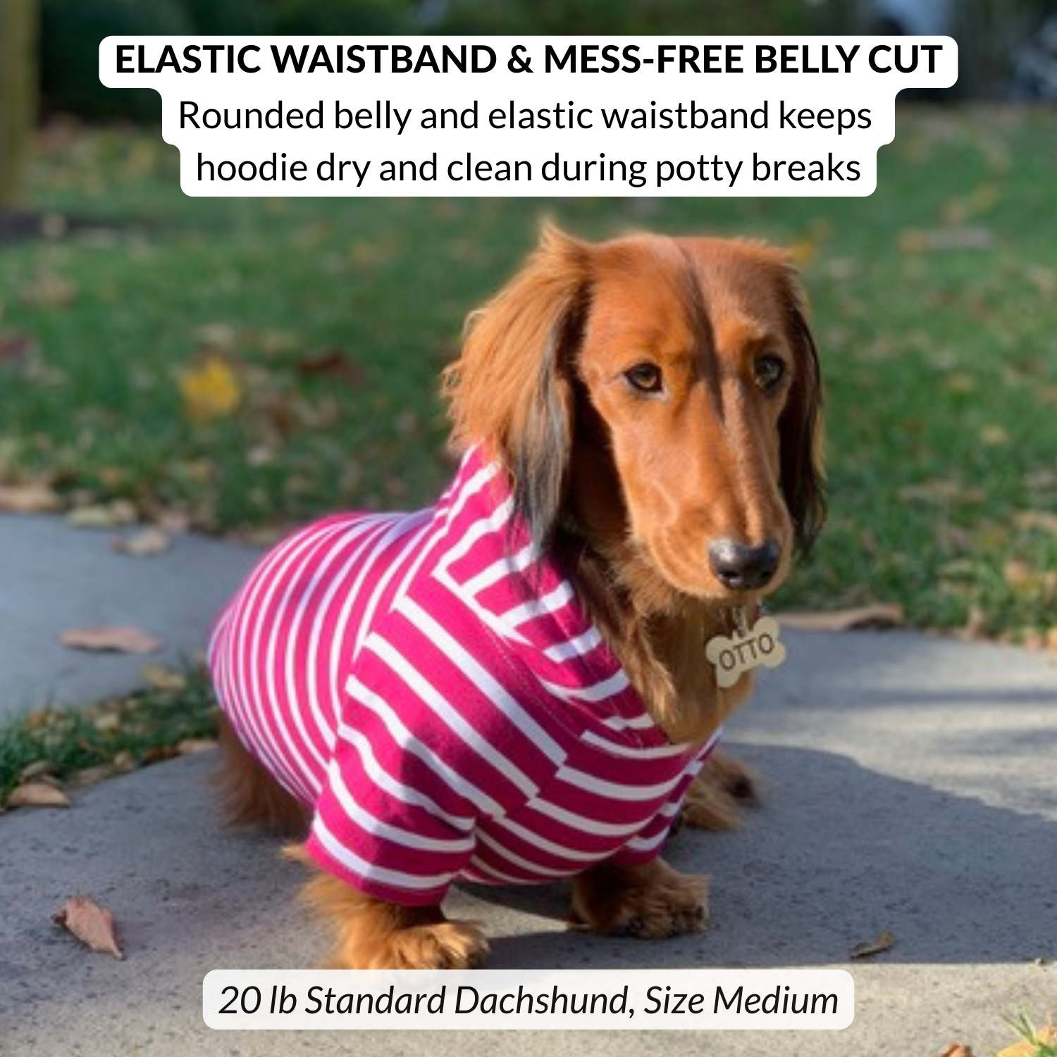 Dachshund wearing a pink and white striped hoodie with text about the product features.