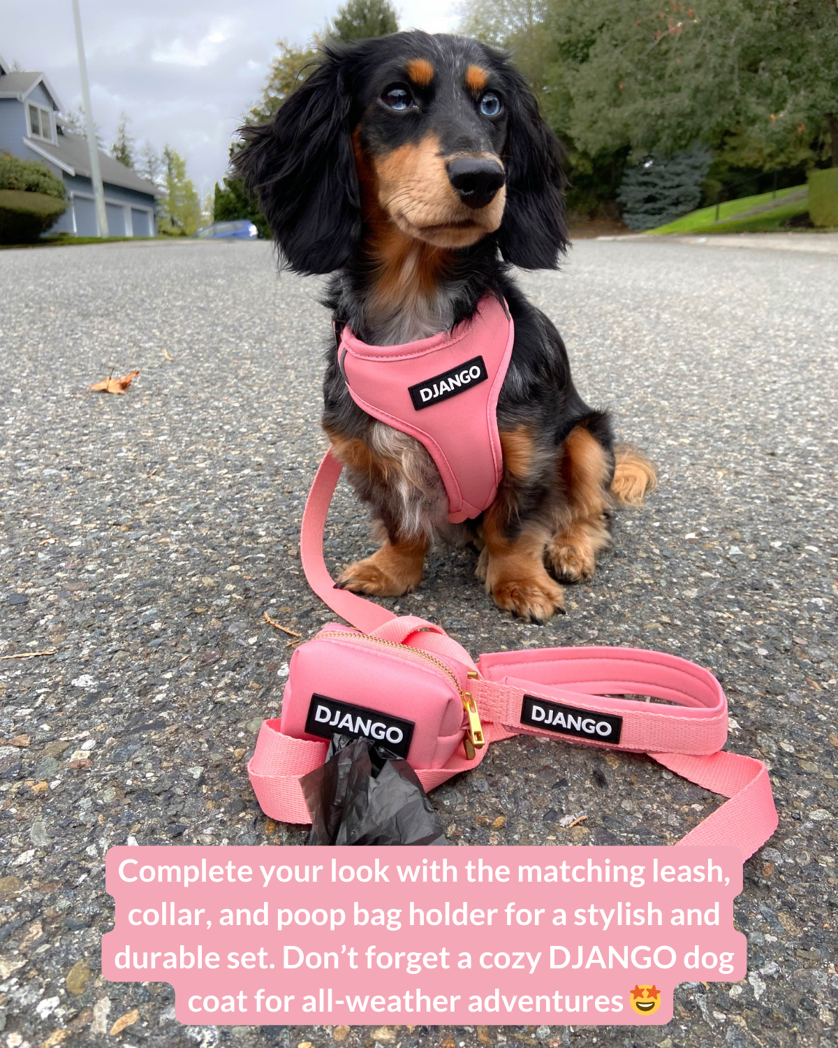 Pair this Quartz Pink harness with the matching leash, collar, and poop bag holder for a stylish and coordinated look.