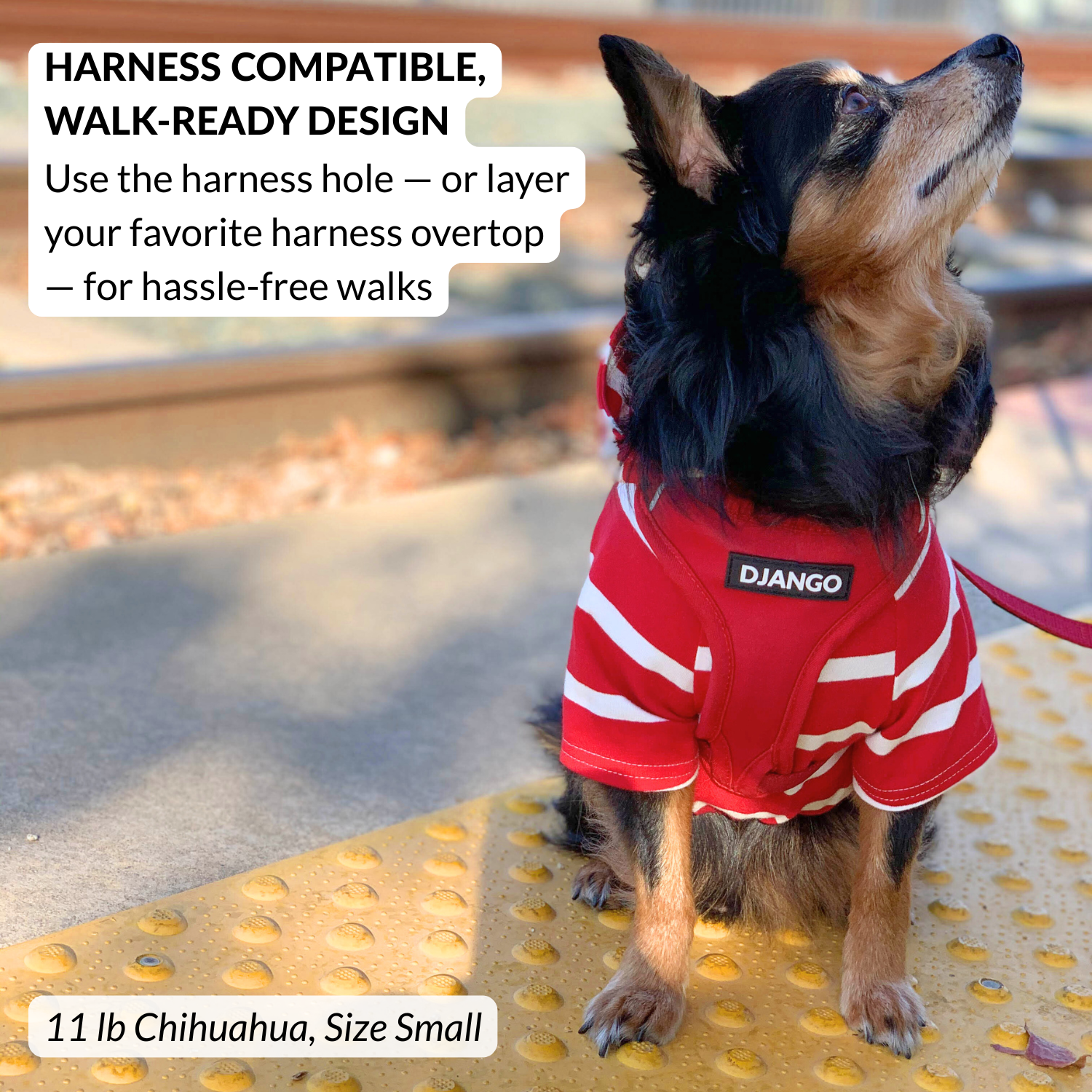 Stylish red striped hoodie for small dogs and puppies, harness compatible sweater for dogs
