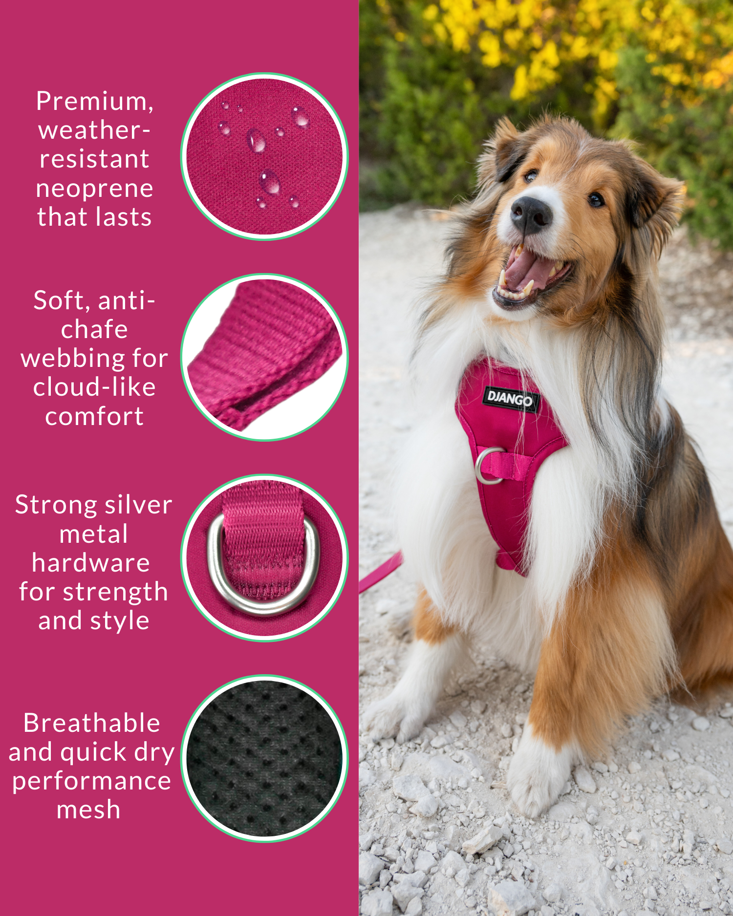 Tahoe No Pull Harness in Hibiscus Pink – A lightweight, breathable, and reflective dog harness for safer morning and evening walks