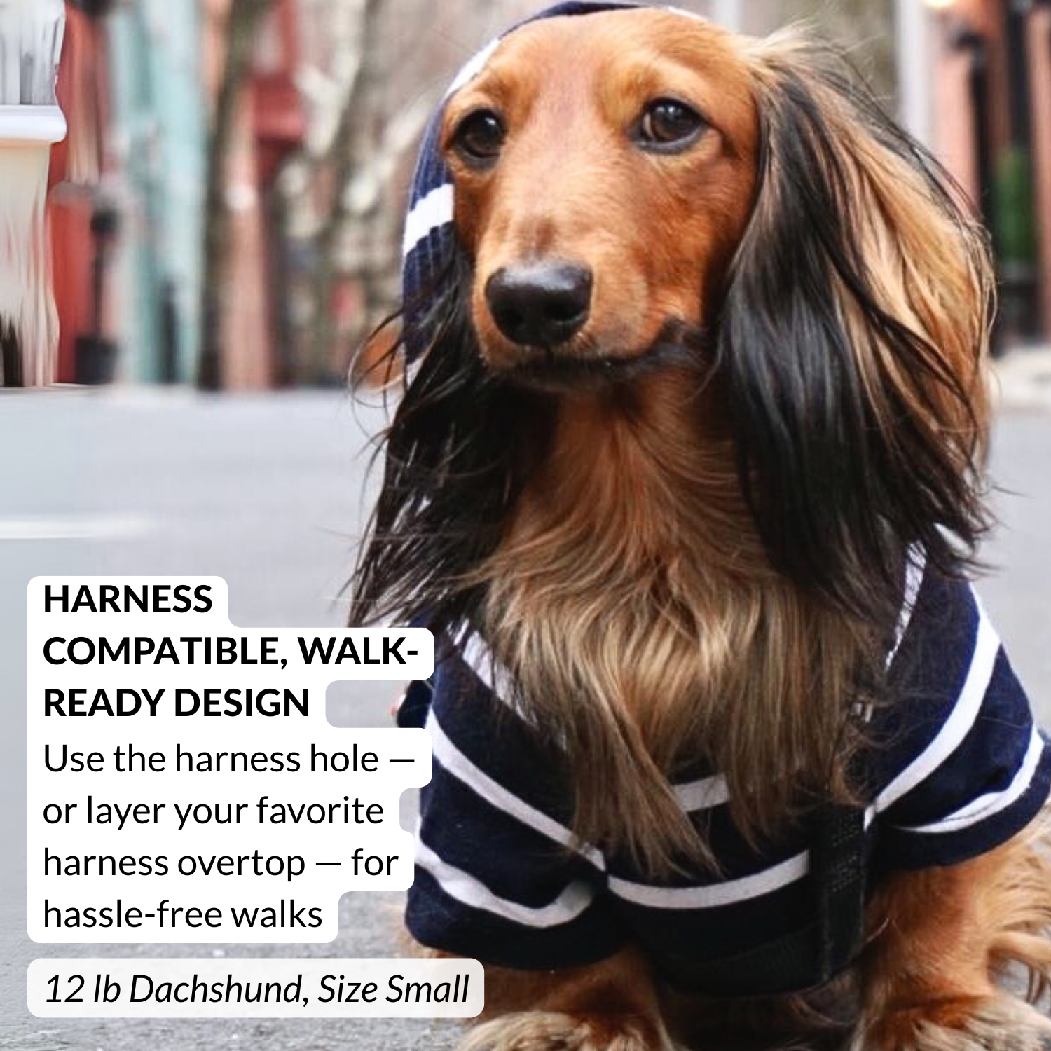 Lightweight navy striped pullover hoodie for small breed dogs