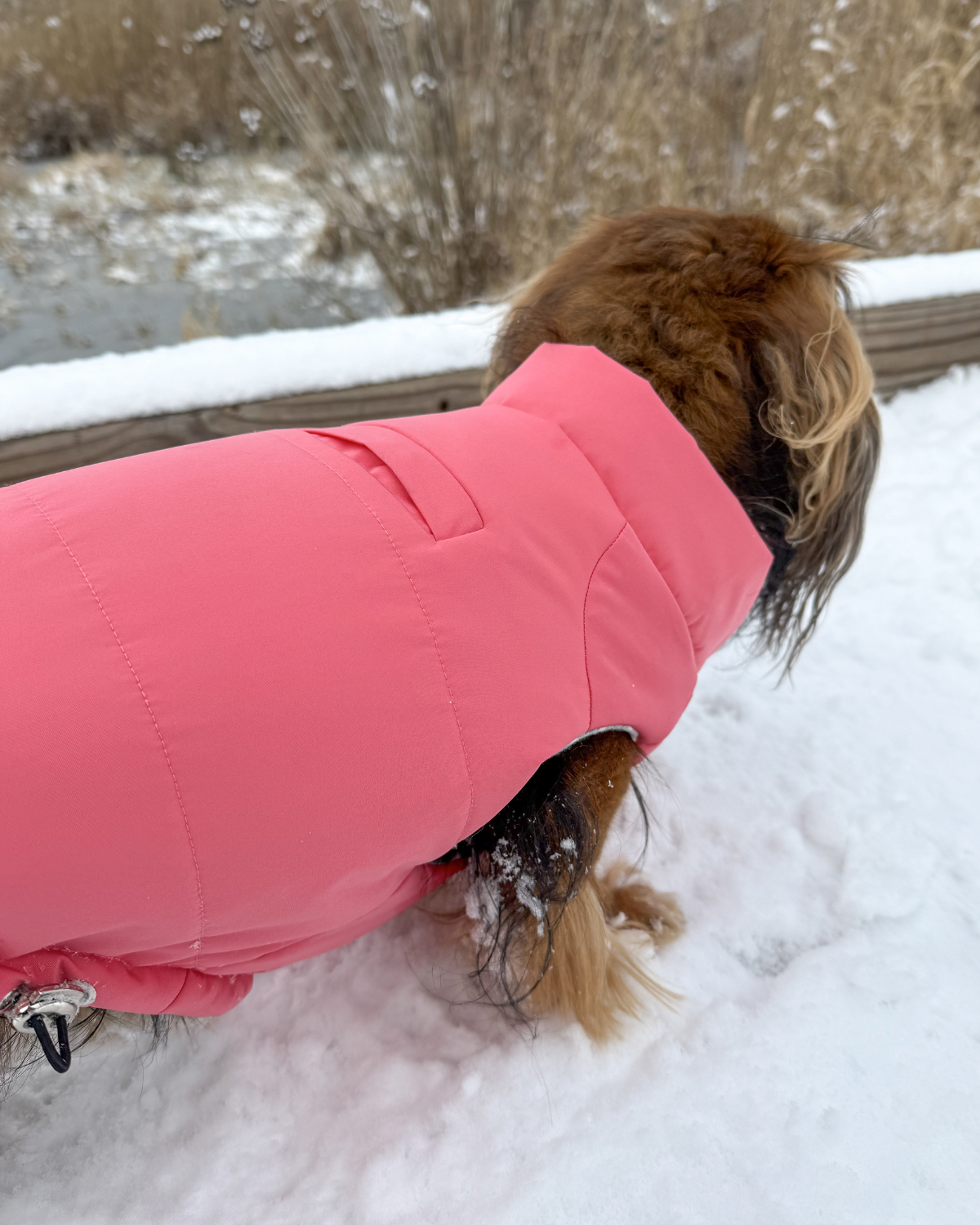 Looking for a cozy and functional winter coat for your small dog or dachshund? The Snowline™ Winter Dog Coat is designed for warmth and durability in extreme cold. Featuring a soft, insulated exterior, this puffer dog coat offers excellent protection from snow, slush, and wind. With its reversible design and water-repellent finish, it’s the perfect combination of style, comfort, and protection for winter adventures.