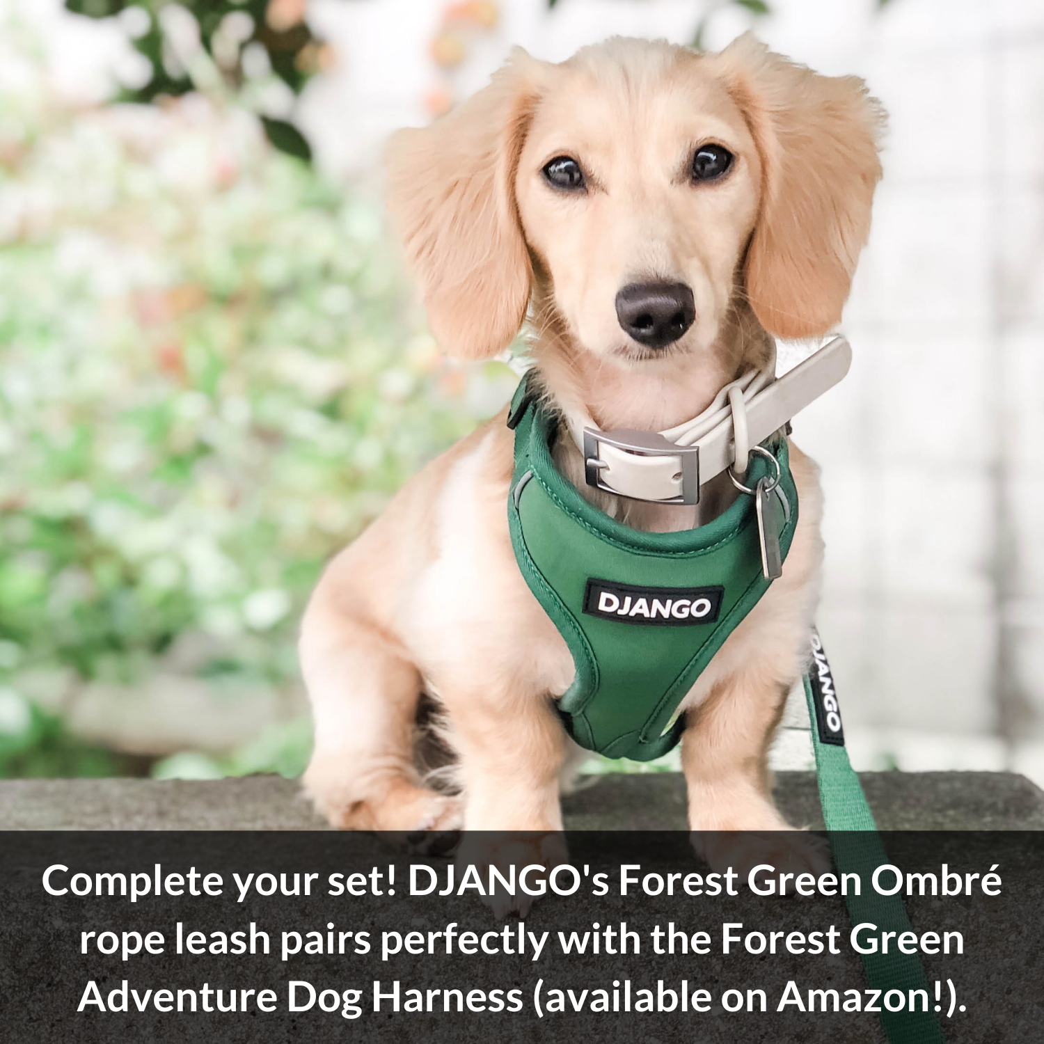 A comfortable and stylish rope leash for dogs, built for daily walks and training.