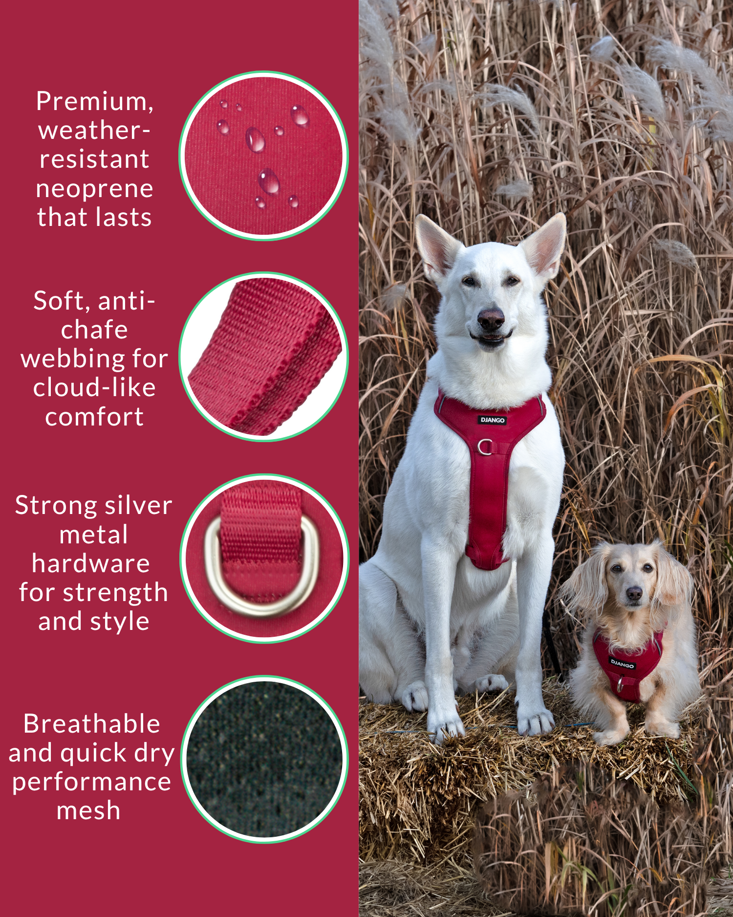 DJANGO Tahoe No Pull Dog Harness in Firelight Red highlighting premium weather-resistant materials with dachshund and white German Shepherd models