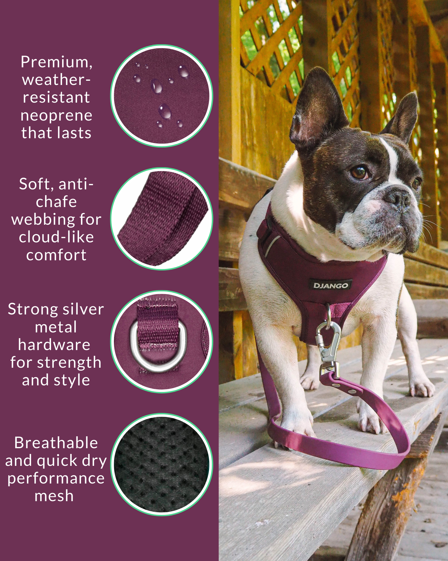 #color_raspberry purple