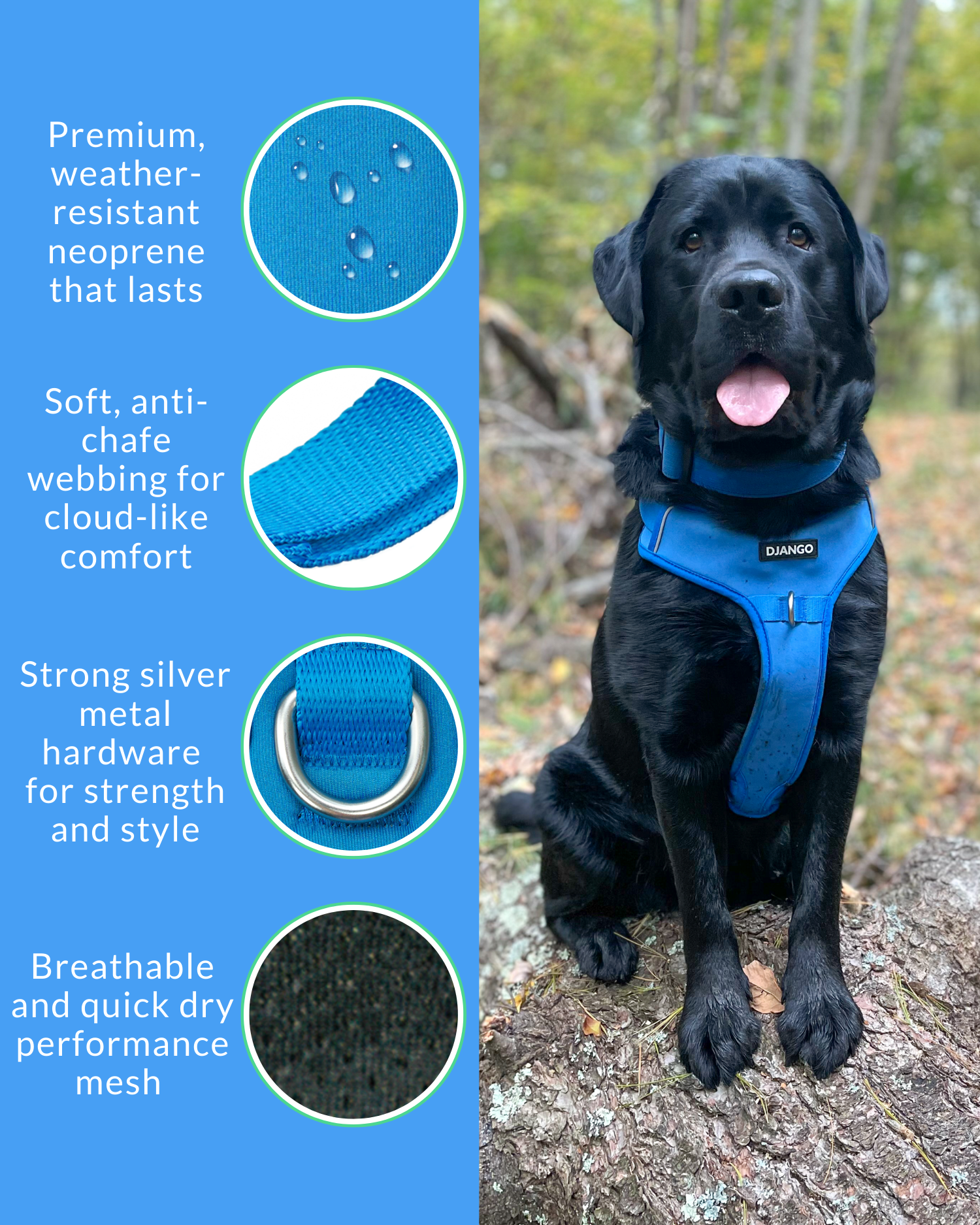 Best no pull dog harness for medium and large dogs – Django’s Tahoe Harness in Alpine Blue with anti-chafe padding and easy-adjust design