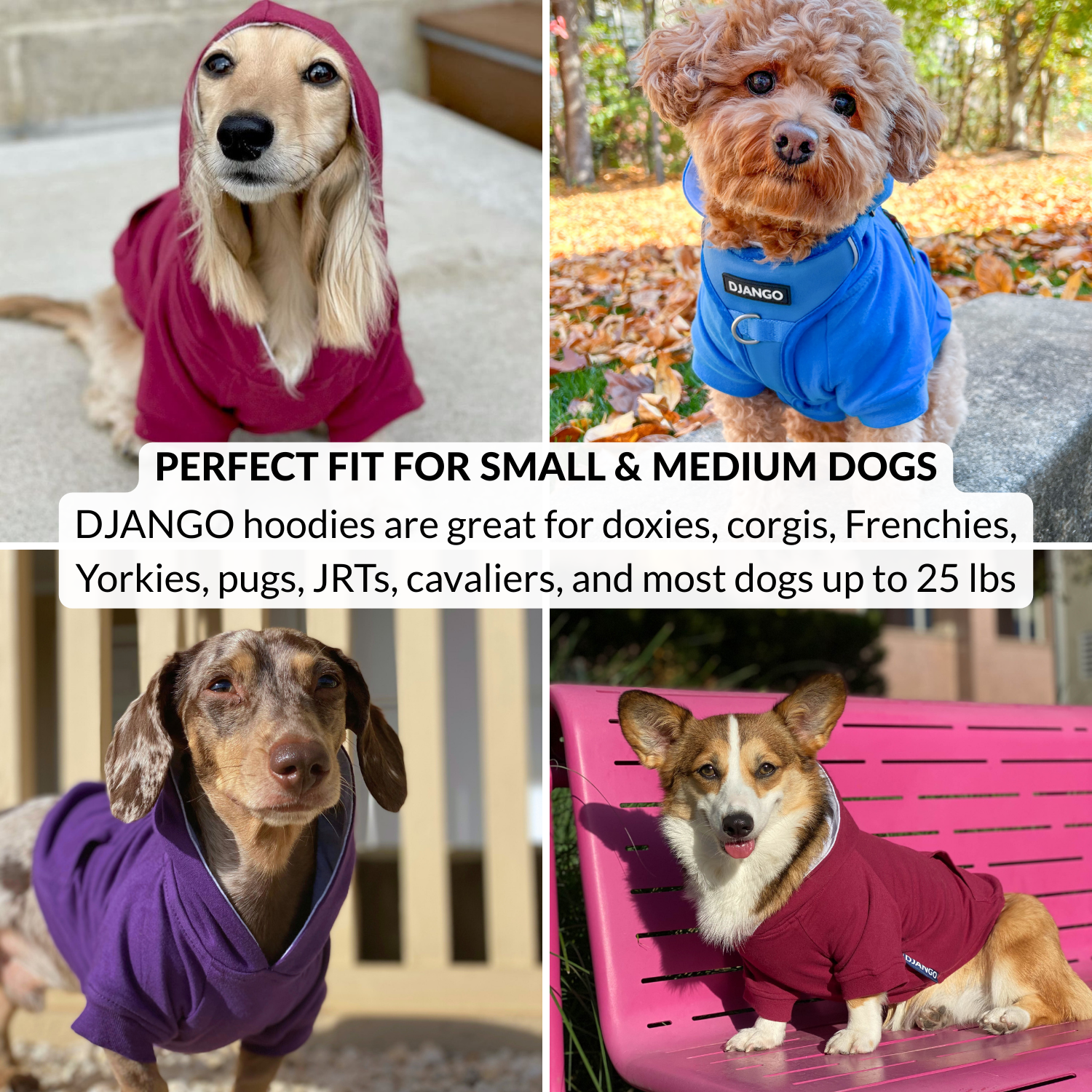 Collage of dogs wearing colorful hoodies with product description text.