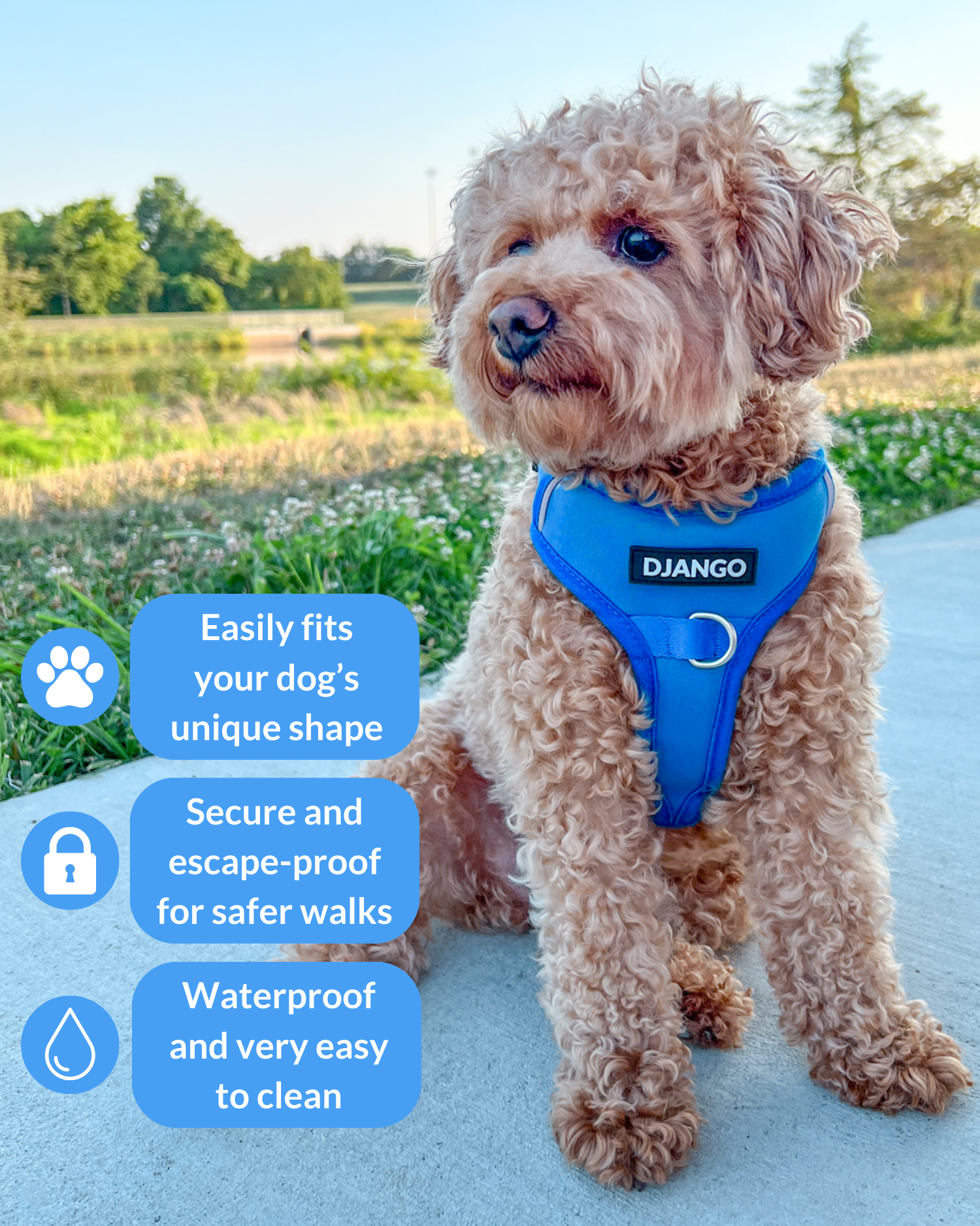 Durable no pull dog harness in Alpine Blue – Features front and back leash clips, padded straps, and a secure fit for comfortable walks and control