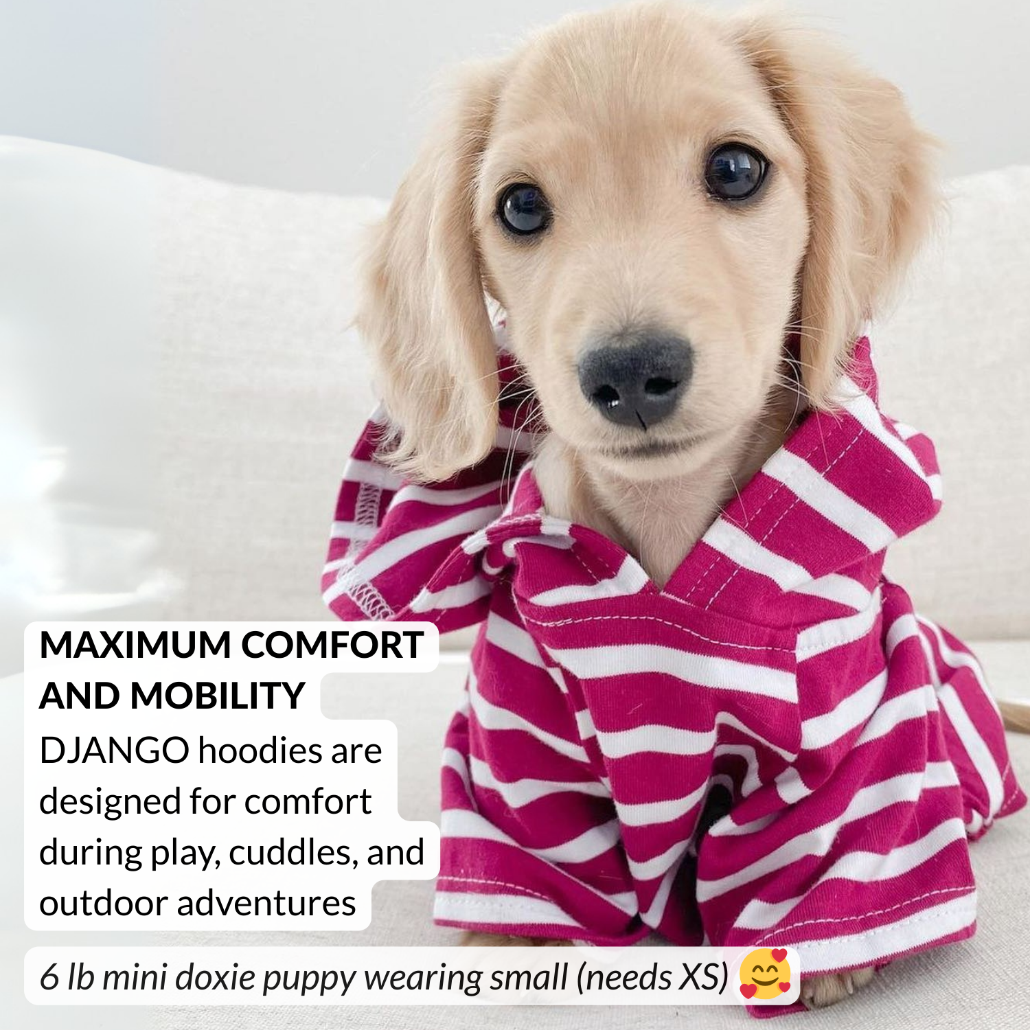 Puppy wearing a pink and white striped hoodie with text about Django hoodies.