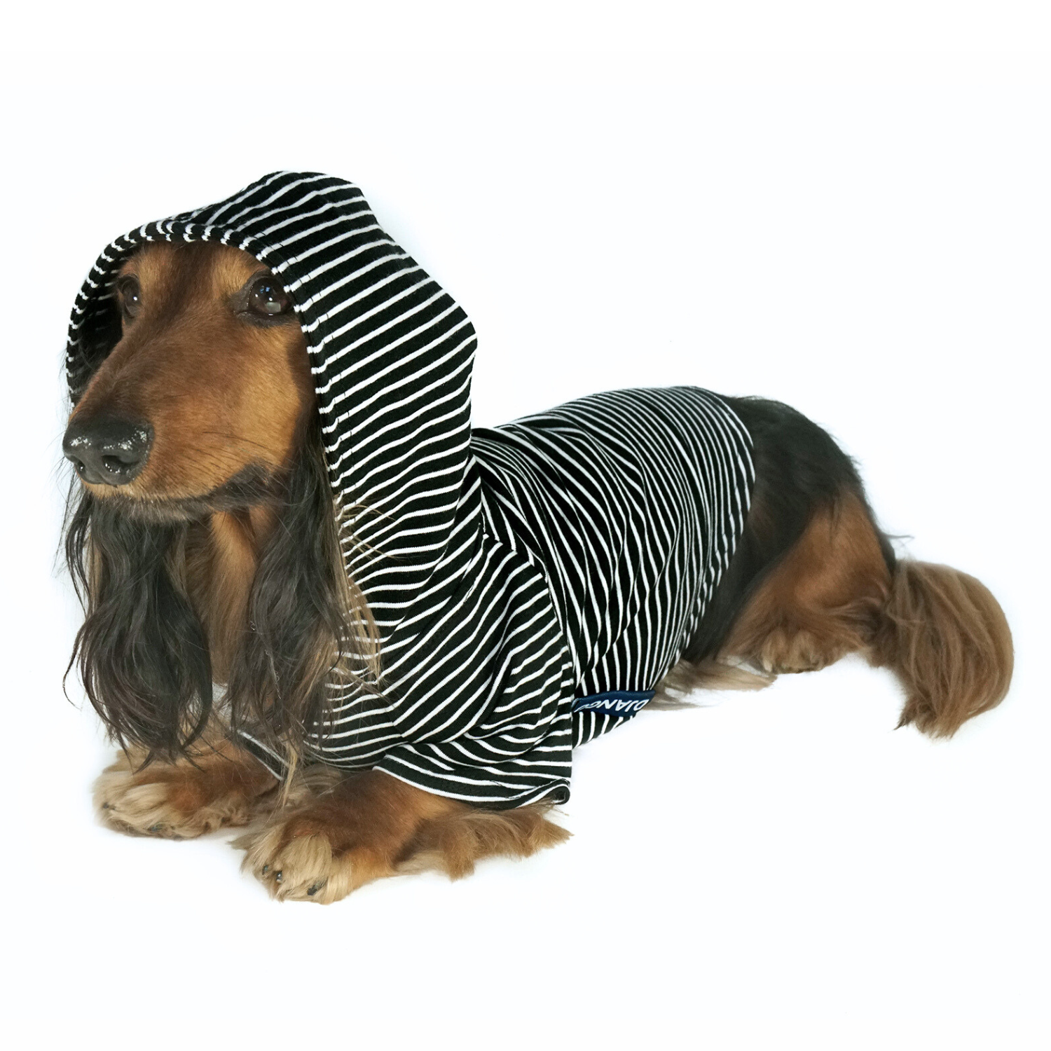 Lightweight Striped Black Dog Hoodie – Perfect for Small & Medium Breeds | A soft and stretchy hoodie for dogs that provides warmth without overheating. Designed for everyday wear and comfort.