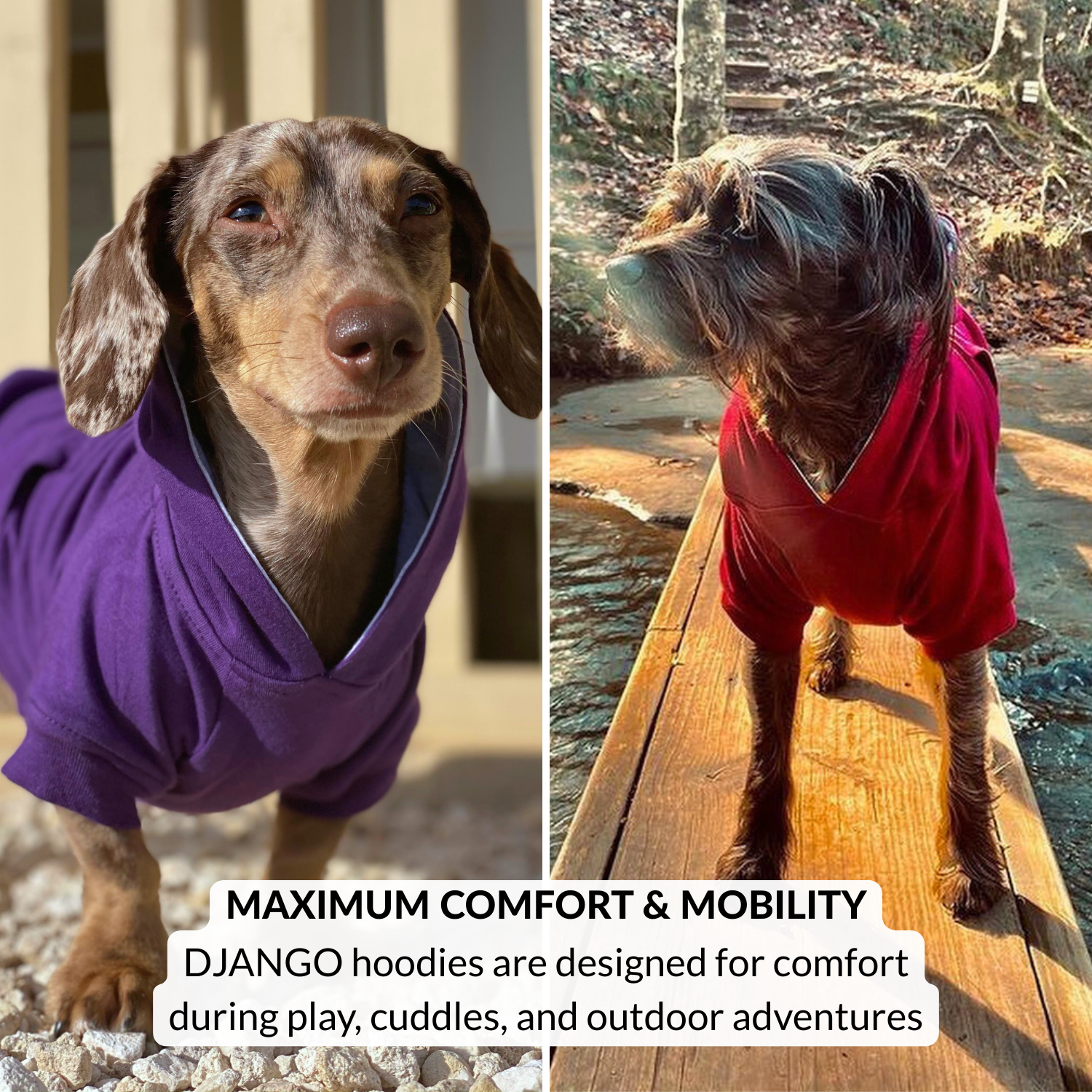 Two images of a dog wearing a purple and red hoodie with text about Django hoodies.
