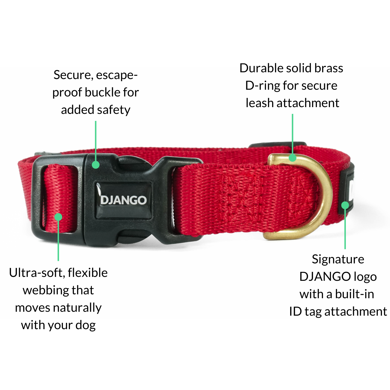 Best collar for small dogs with solid brass hardware and a secure buckle