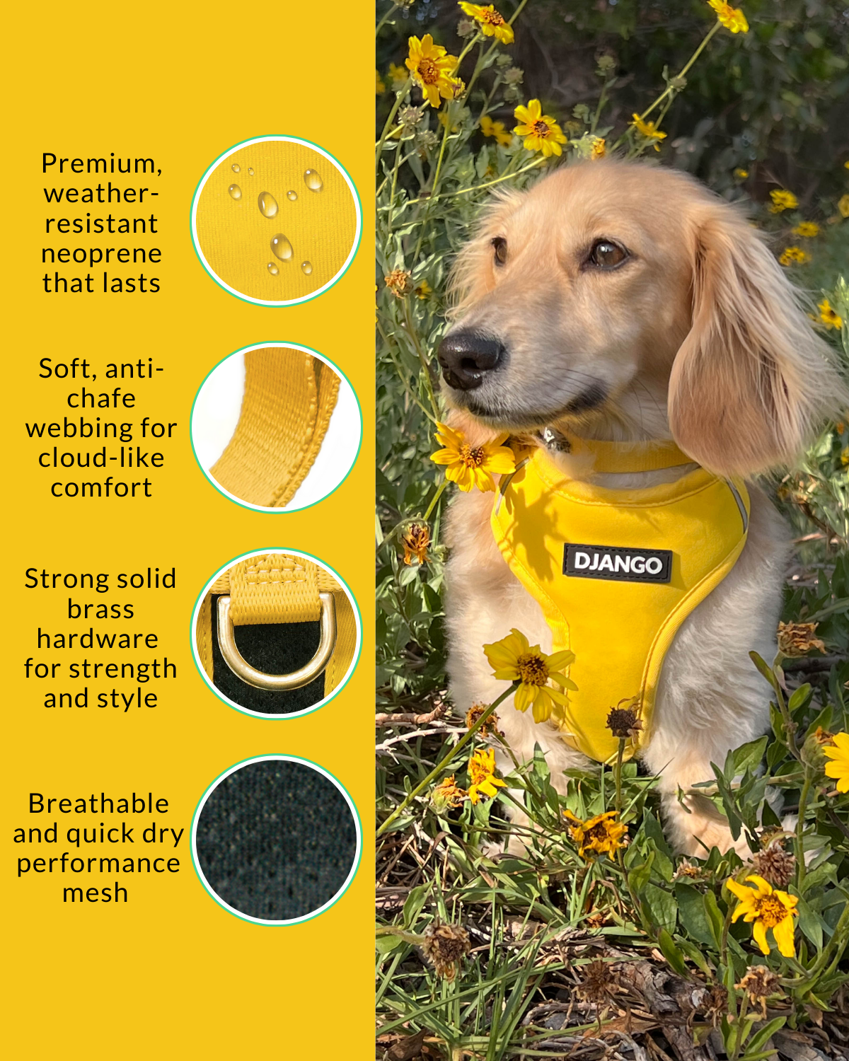 Dog wearing a yellow harness with product features on a yellow background