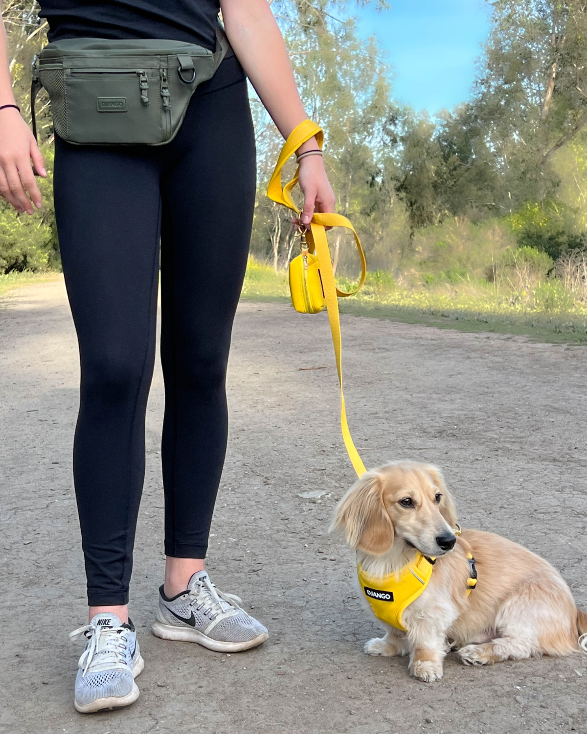 Dog mom wearing stylish dog walking belt bag and walking her dachshund puppy who is wearing a DJANGO harness. for doxies