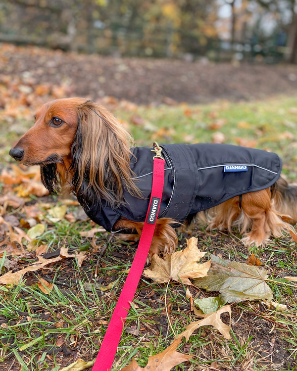 DJANGO City Slicker All-Weather Dog Jacket and Raincoat - Black