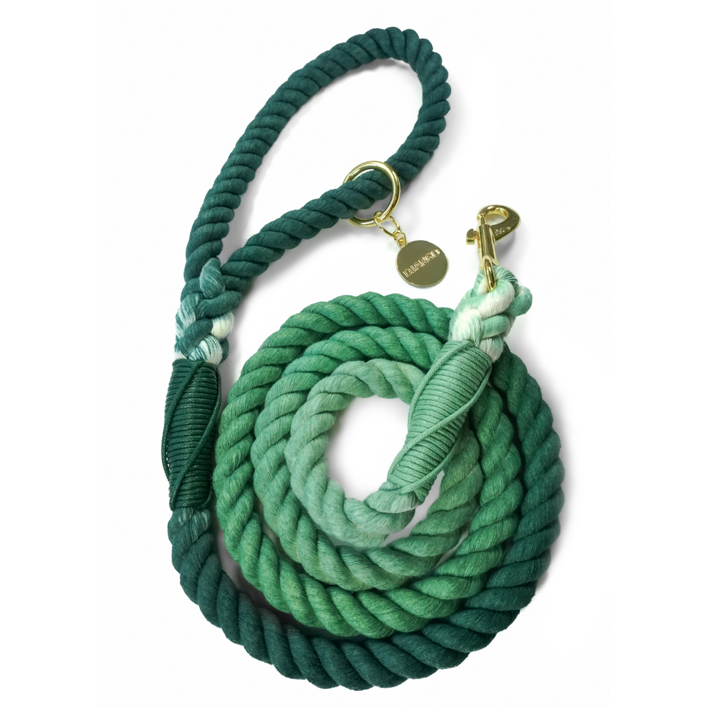 Ombre rope leash online