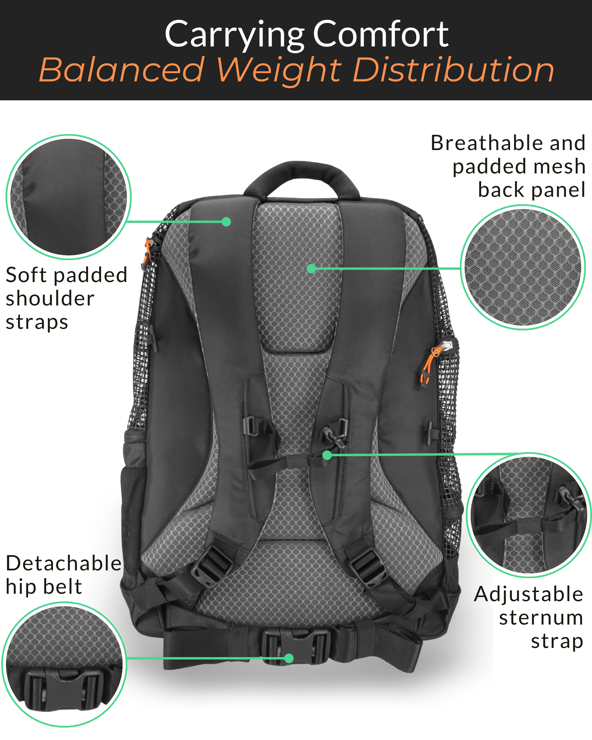 Back of DJANGO dog carrier backpack with padded shoulder straps, breathable mesh back panel, detachable hip belt, and sternum strap for balanced weight distribution and hiking comfort