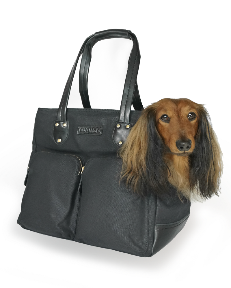 Leather pet carrier online
