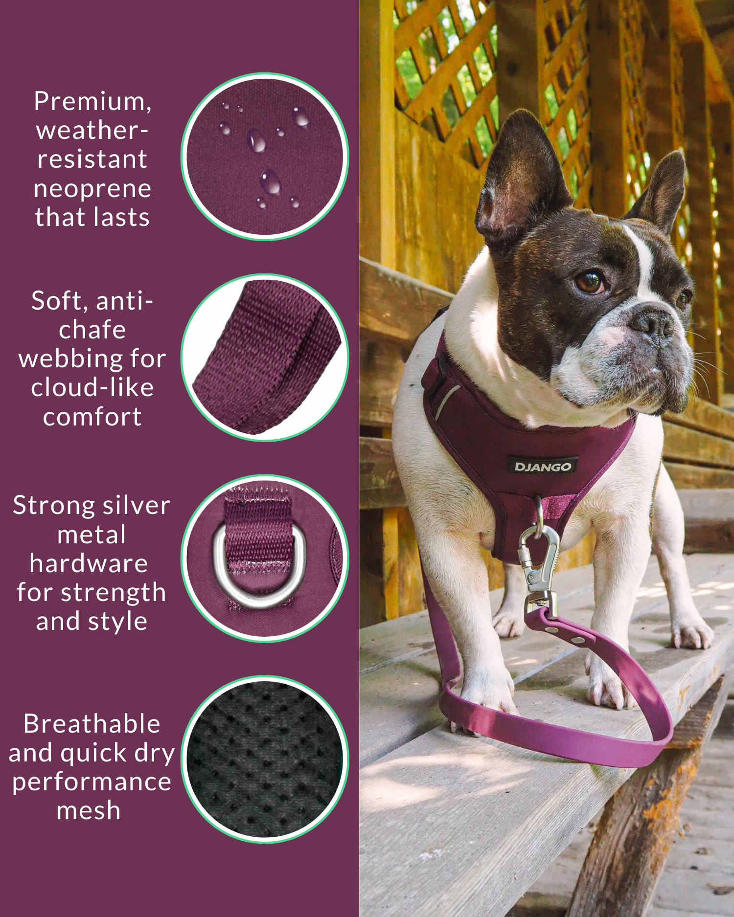 #color_raspberry purple