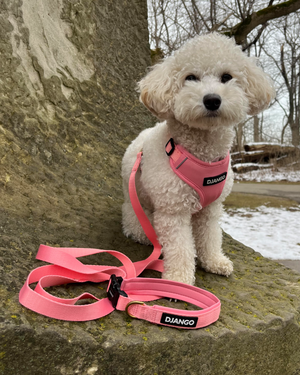 DJANGO’s Adjustable Hands-Free Adventure Dog Leash is a versatile leash that can be used as a 6.5 foot hand-held leash and an around-the-waist “hands-free” leash. The durable and stylish dog leash can also be used for temporary tie-ups (i.e. around your chair or table leg when you are out to lunch) and perfectly compliments your pup's favorite Adventure Collection harness and collar.