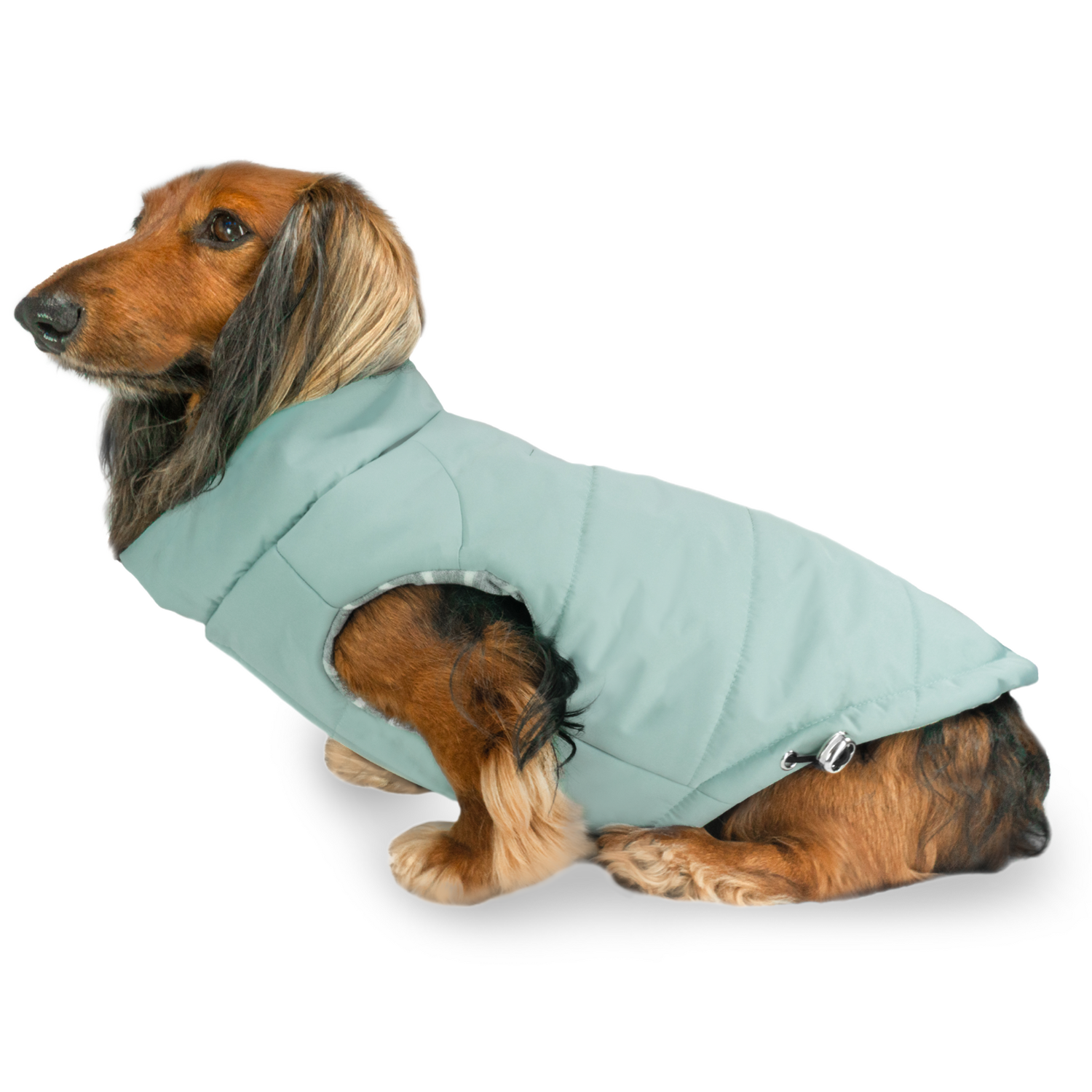 Winter coat for dachshunds and small dogs up to 30 lbs including cavalier king charles spaniels, french bulldogs, jack russell terriers, chihuahuas, yorkies, cavapoos, cockapoos, beagles, mini schnauzers and more.