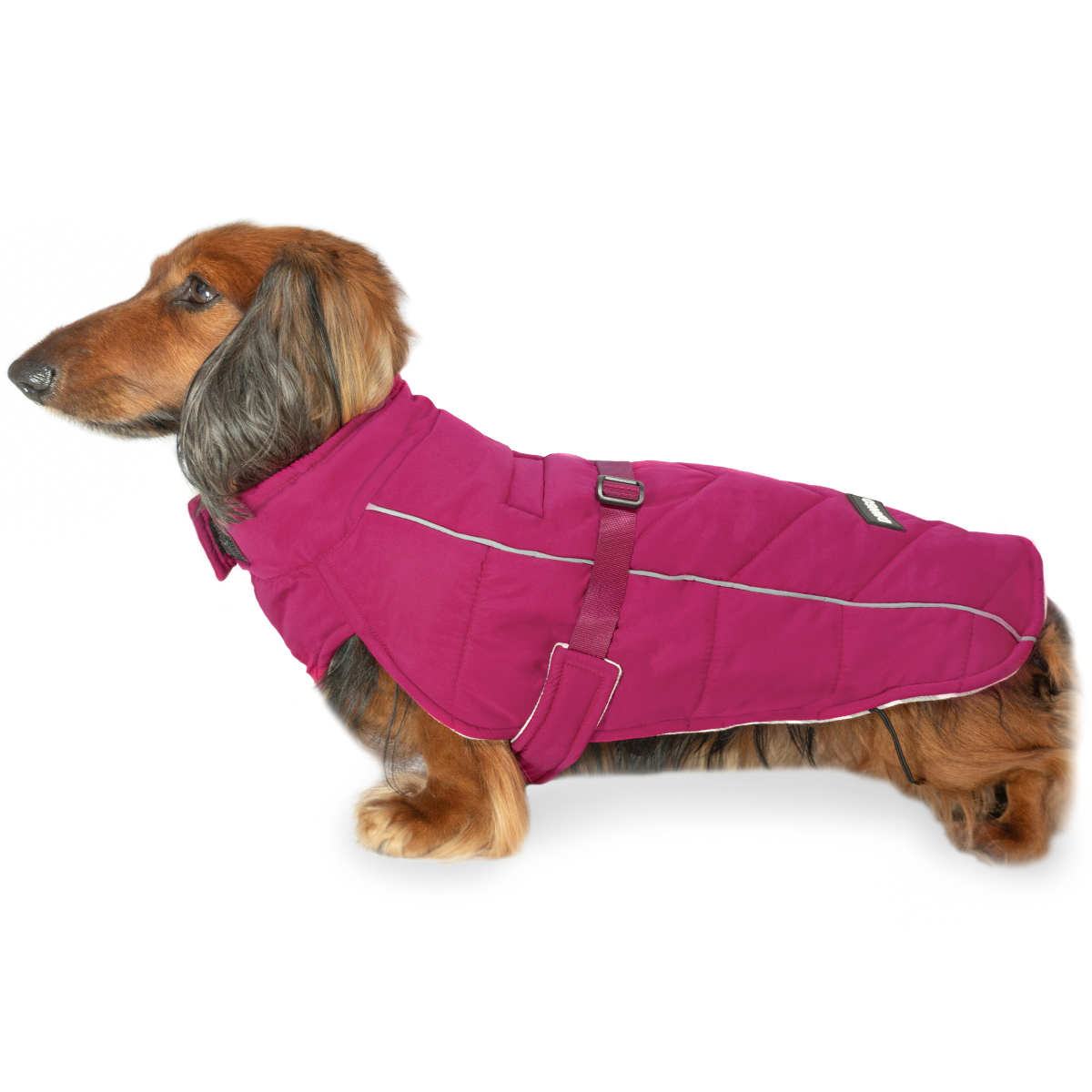 insulated and waterproof winter puffer dog coat with harness hole and adjustable fit in Hibiscus Pink by DJANGO - best dog coat for dachshunds, long dogs, medium dogs, and large barrel-chested breeds