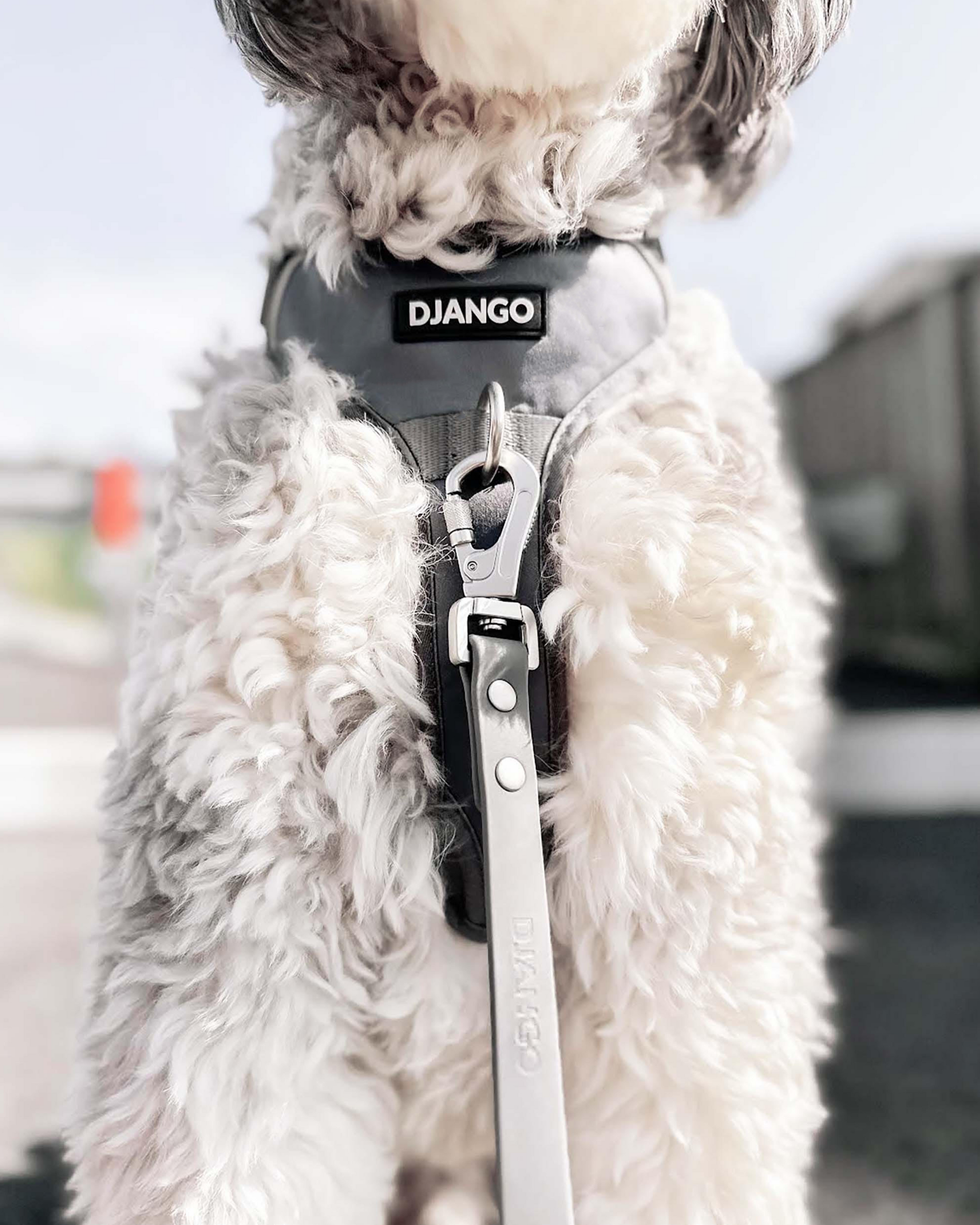 DJANGO Tahoe No Pull Dog Harness in Poppy Seed Gray - Our beautiful Australian shepherd doodle dog furend is wearing his DJANGO no pull dog harness in modern and stylish color Poppy Seed Gray. Key features of DJANGO's Tahoe dog harness include a weather-resistant and padded neoprene exterior, a narrow and deep harness body (to prevent the risk of chafing) reflective piping, and soft webbing. - djangobrand.com