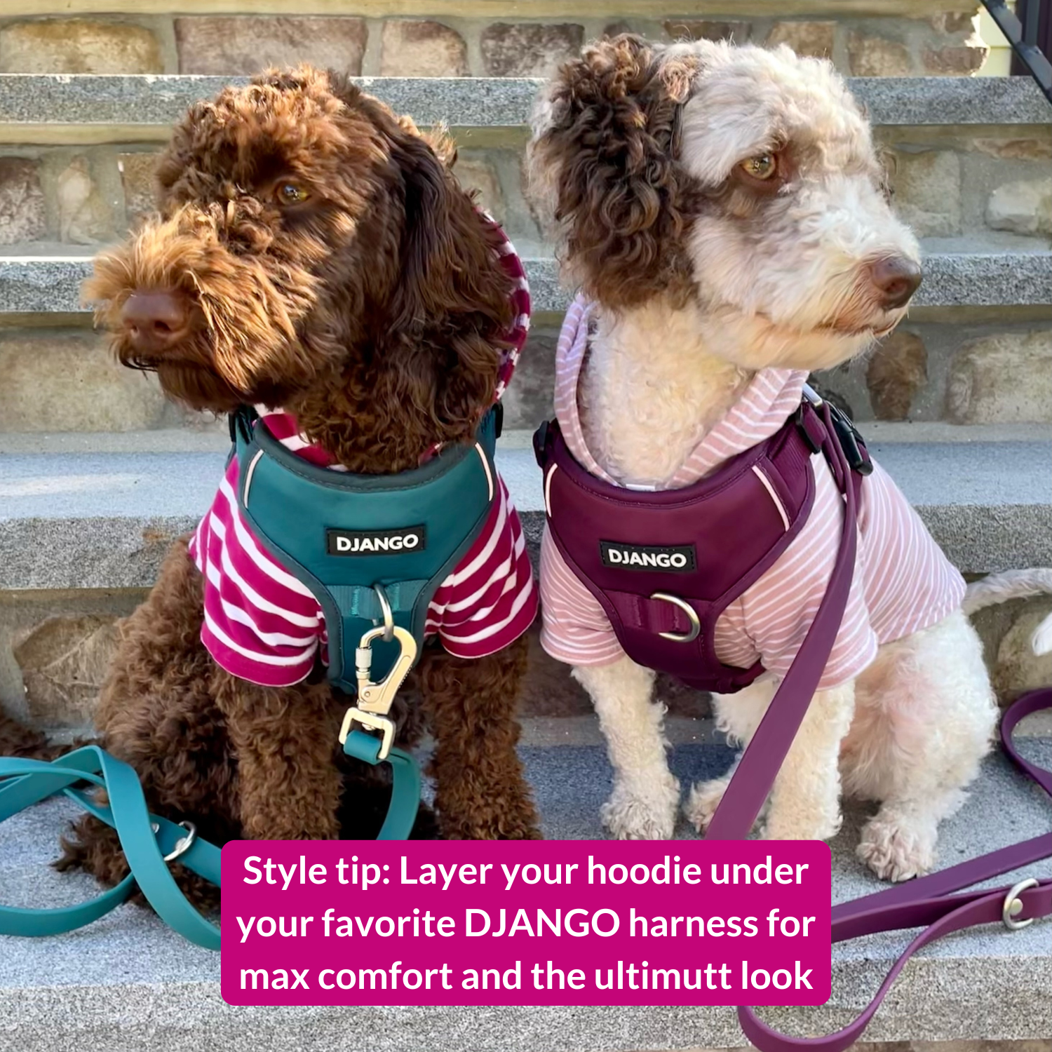 Boysenberry Pet Hoodie by DJANGO – Soft fleece-lined sweater for warmth and a snug fit.