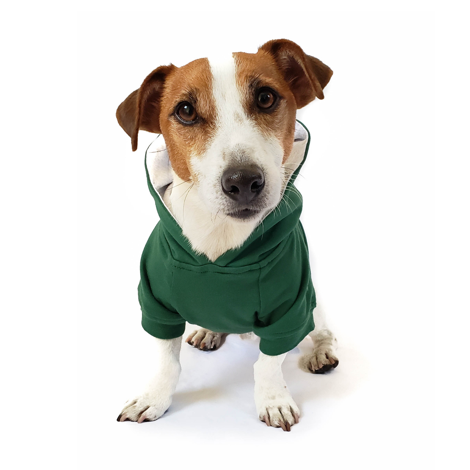 DJANGO Dog Hoodie in Forest Green – Stylish, ultra-soft, and warm pullover sweater for dogs.