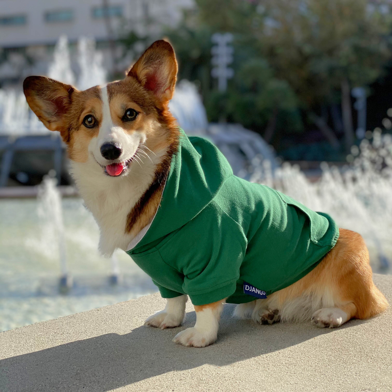 Forest Green Dog Hoodie by DJANGO – Cozy, flexible, and designed for all-weather comfort.
