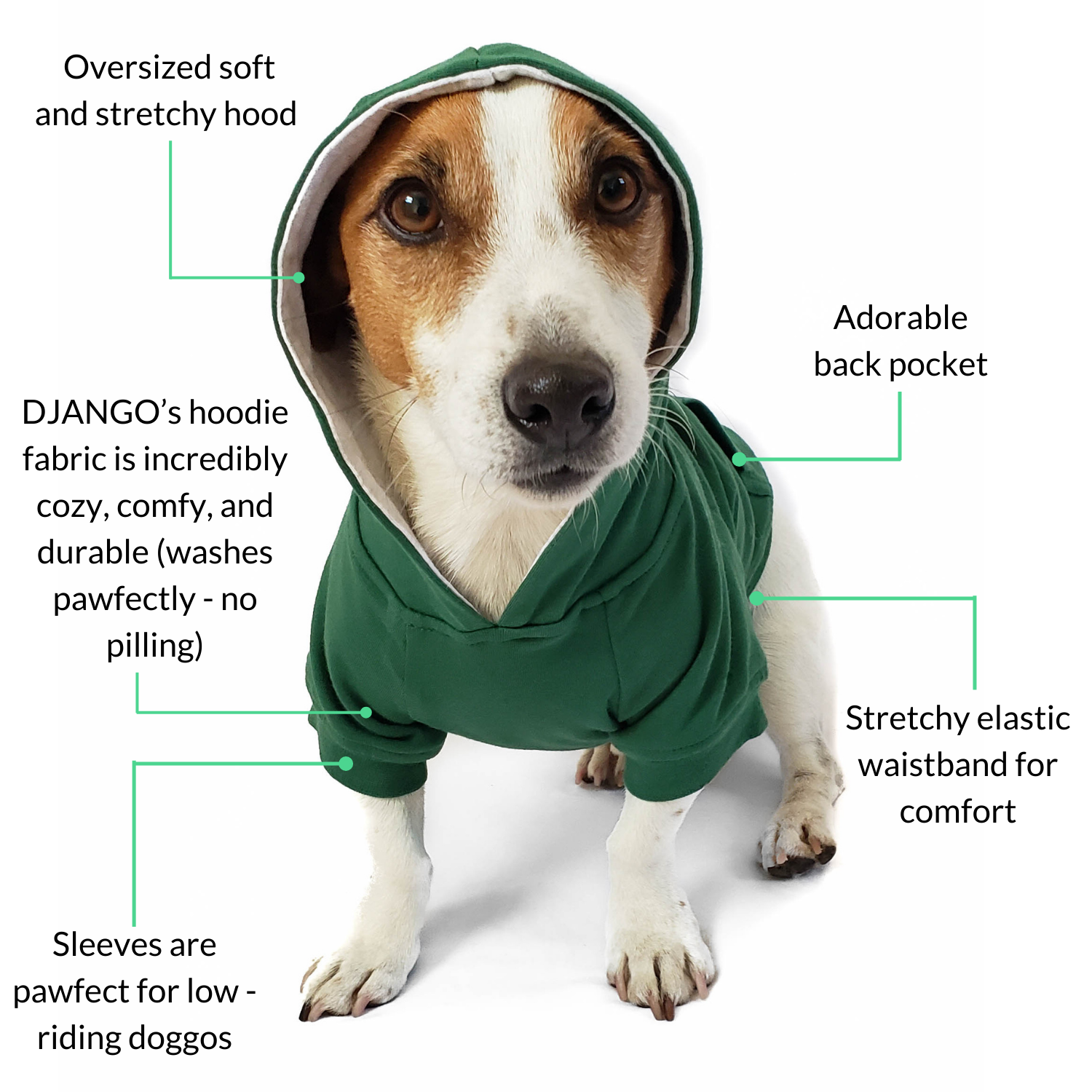 Forest Green Pet Hoodie by DJANGO – Soft fleece-lined sweater for extra warmth and comfort.