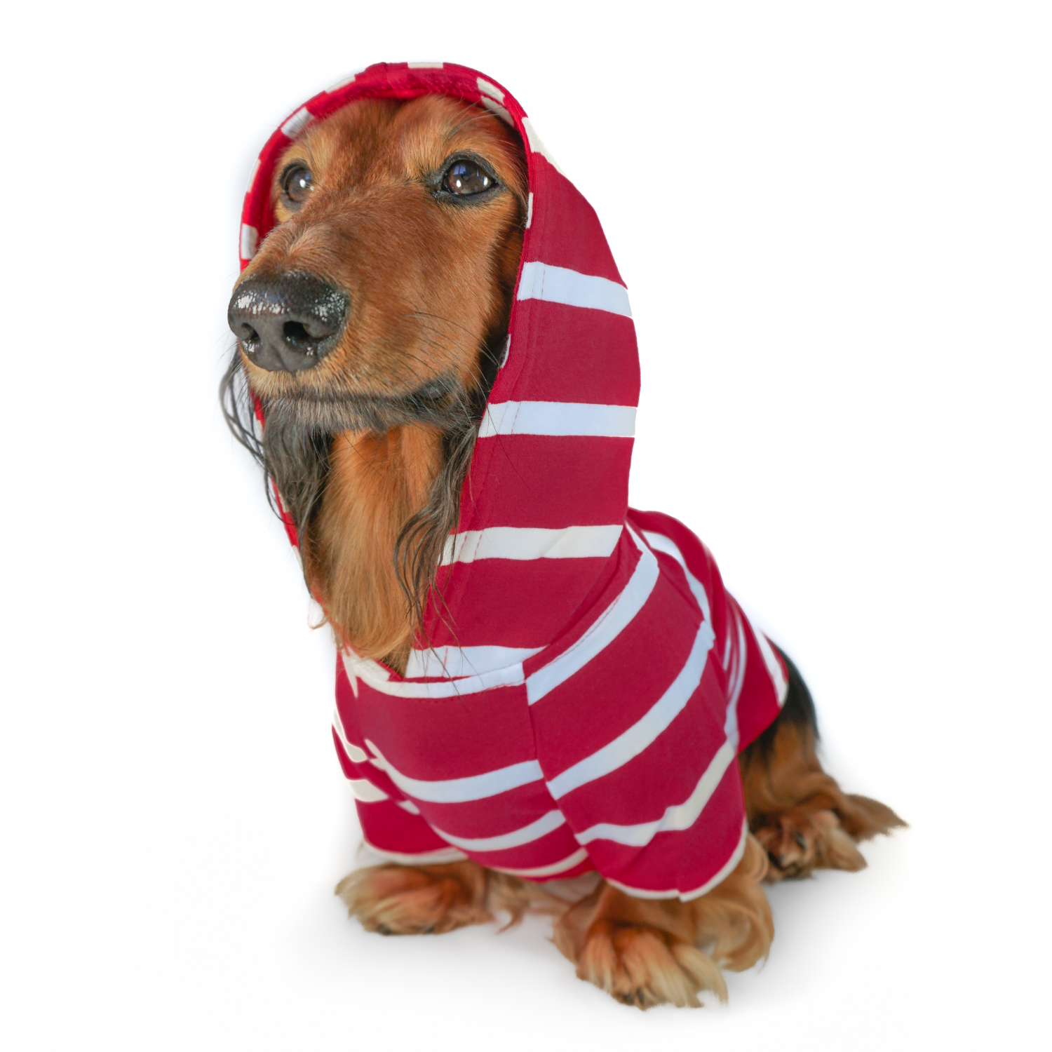 DJANGO Dog Hoodie in Red and White – Soft, stylish, and warm pullover sweater for dogs.