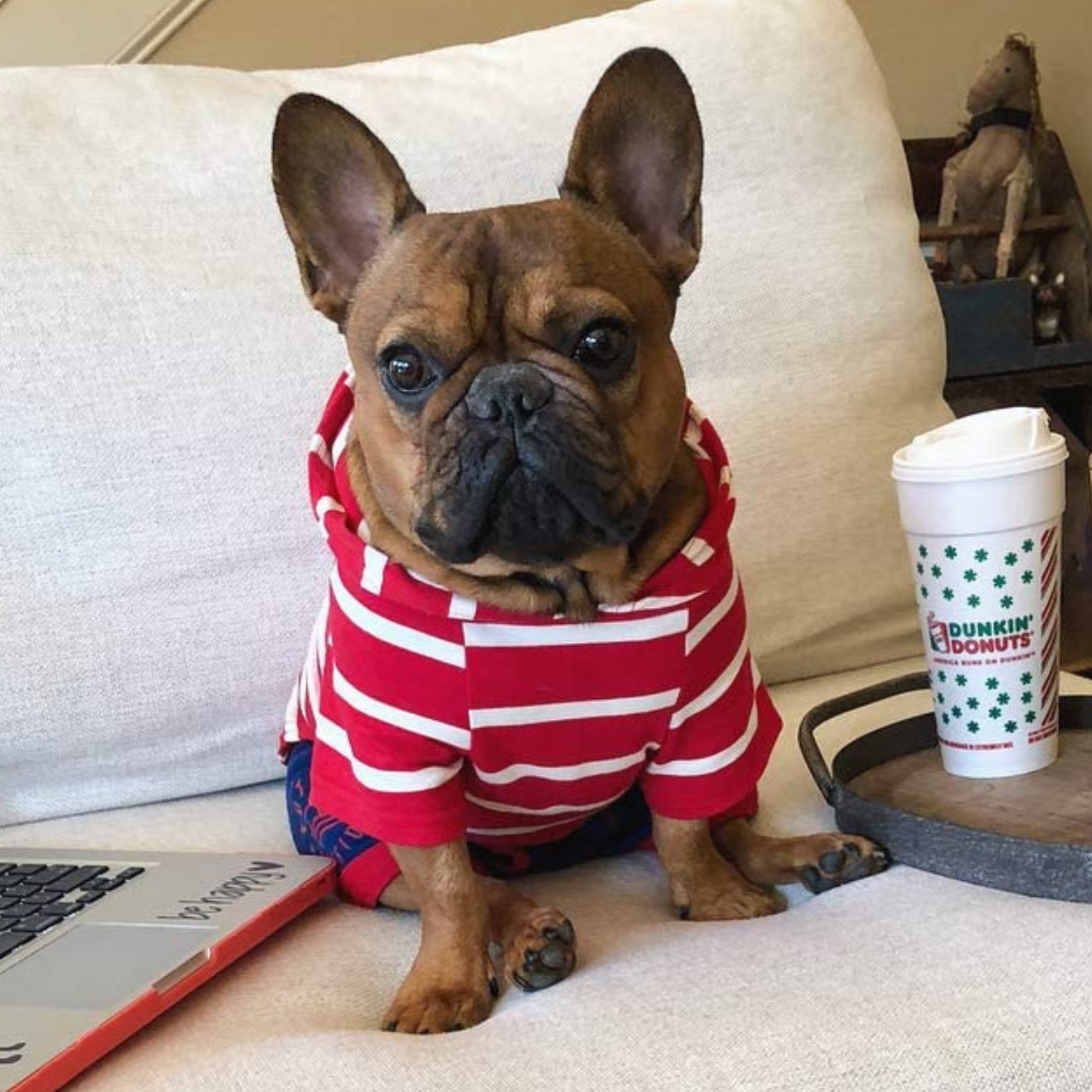 Red and White Pet Hoodie by DJANGO – Soft fleece-lined sweater for warmth and a snug fit.