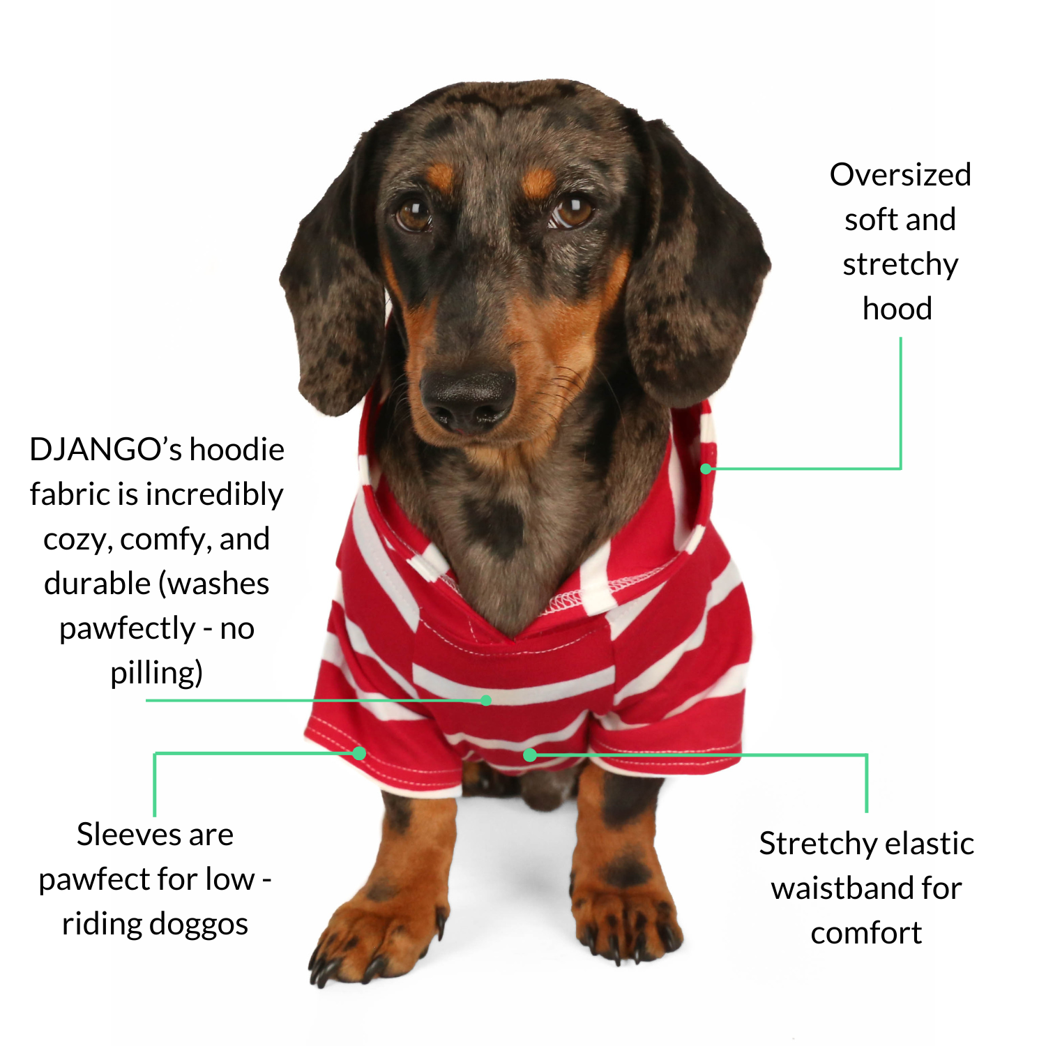 DJANGO’s Red and White Dog Hoodie – Lightweight, machine-washable, and great for active pups.