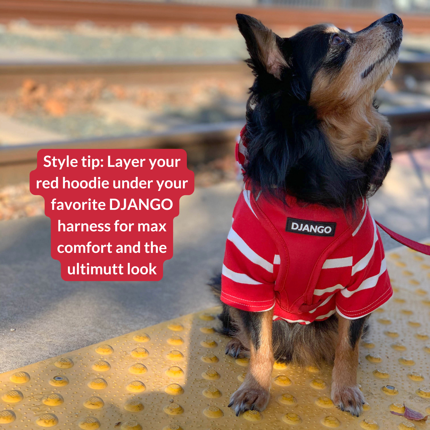 Warm and stylish Red and White Hoodie by DJANGO – Ideal for walks, playtime, and everyday wear.