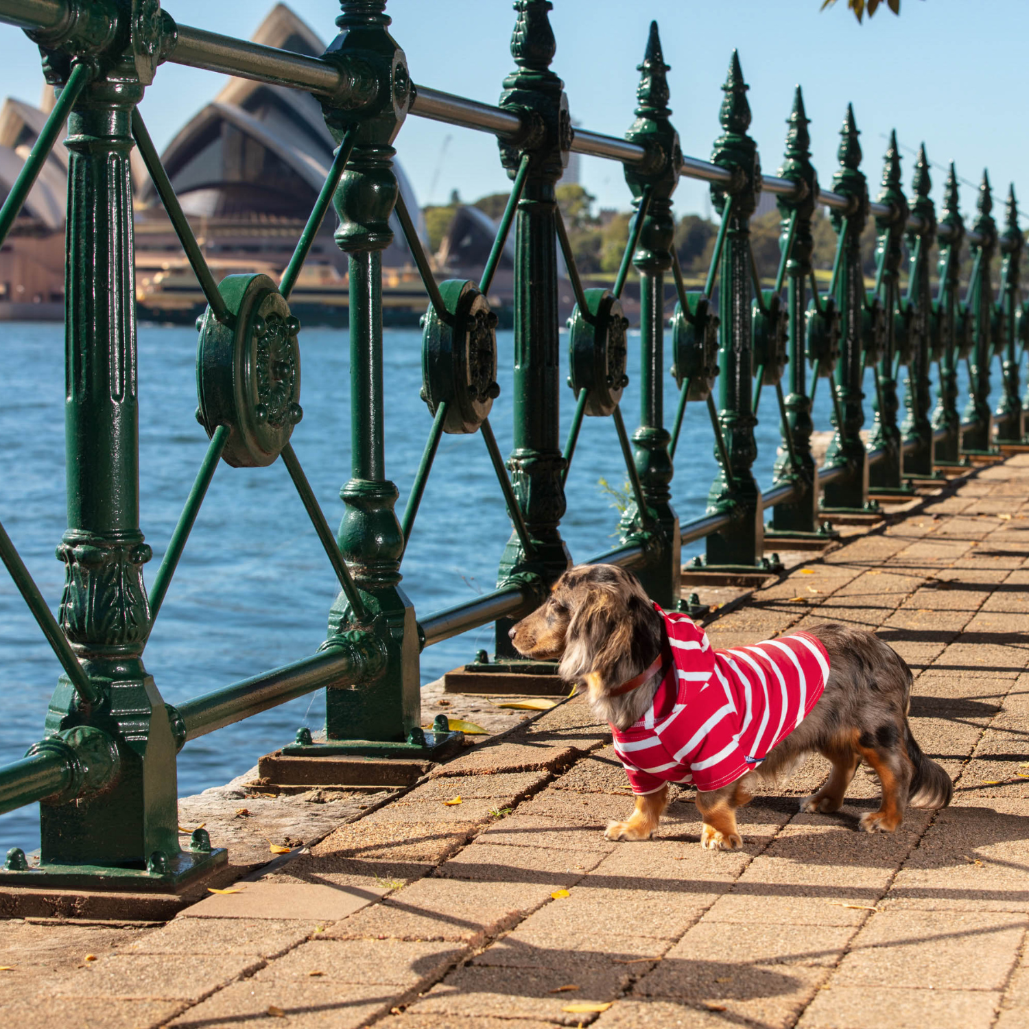 Red and White Dog Hoodie – Soft, flexible, and designed to keep dogs warm and fashionable.