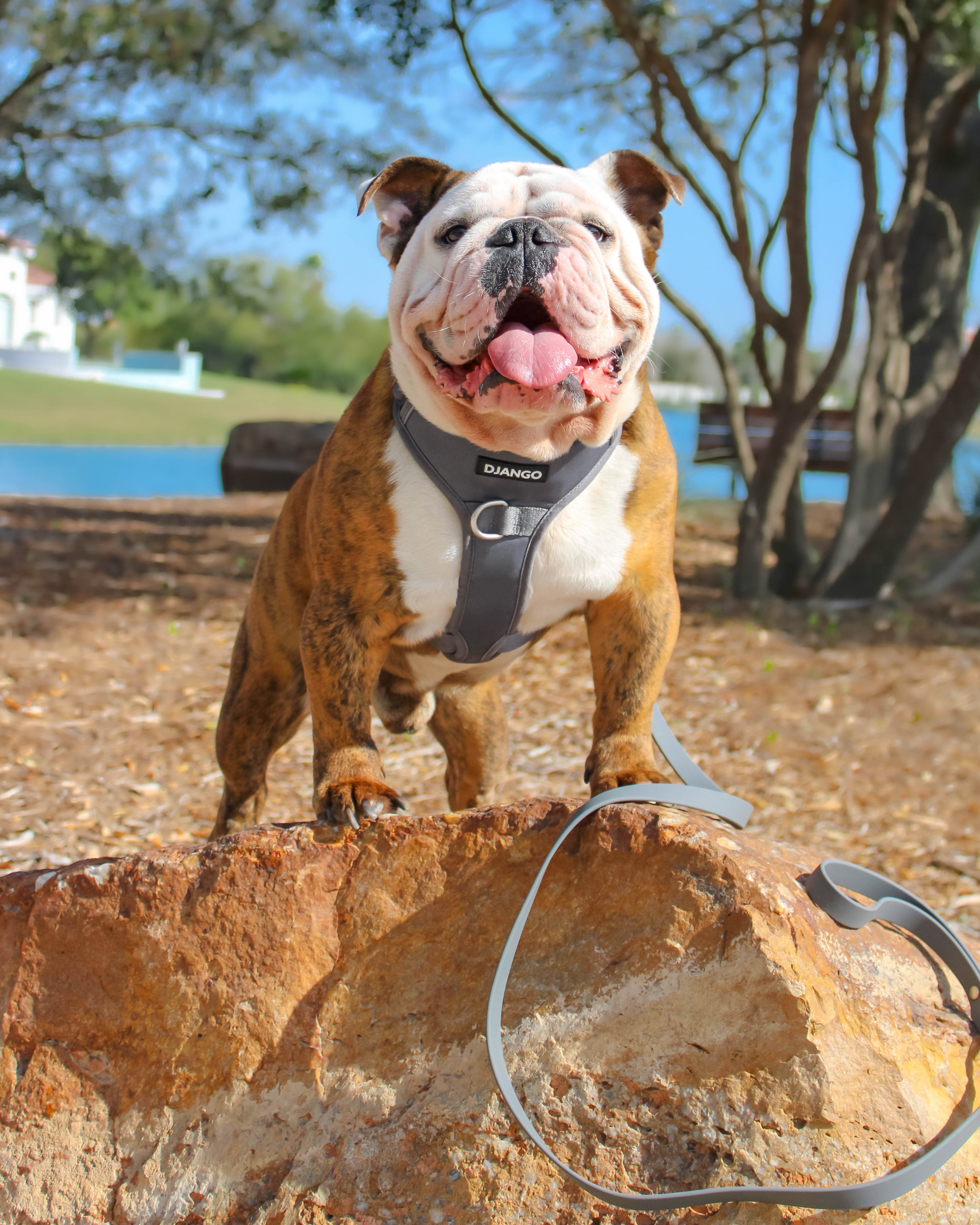 #color_poppy seed gray