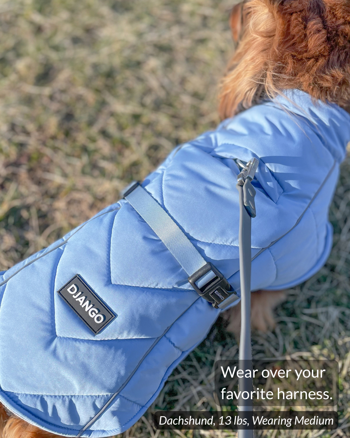 Covered leash portal on the Dusk Blue Whistler dog coat providing access to a harness worn underneath