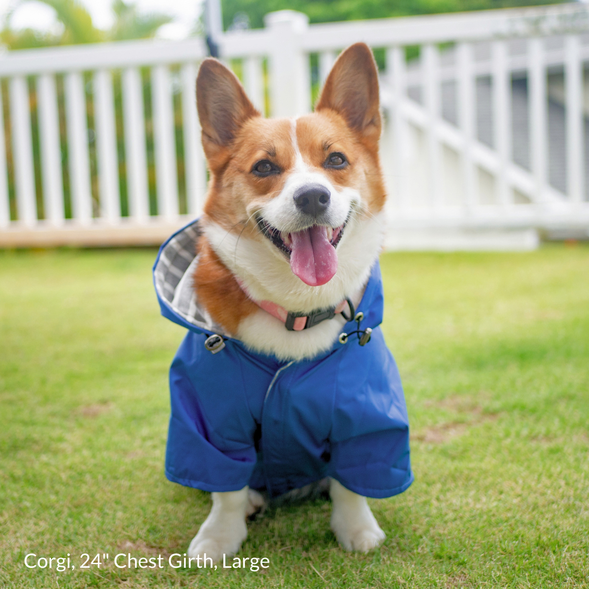 Welsh Corgi wearing a hooded and adjustable dog jacket with hood for cold weather, rain,and snow while sitting outside in grass