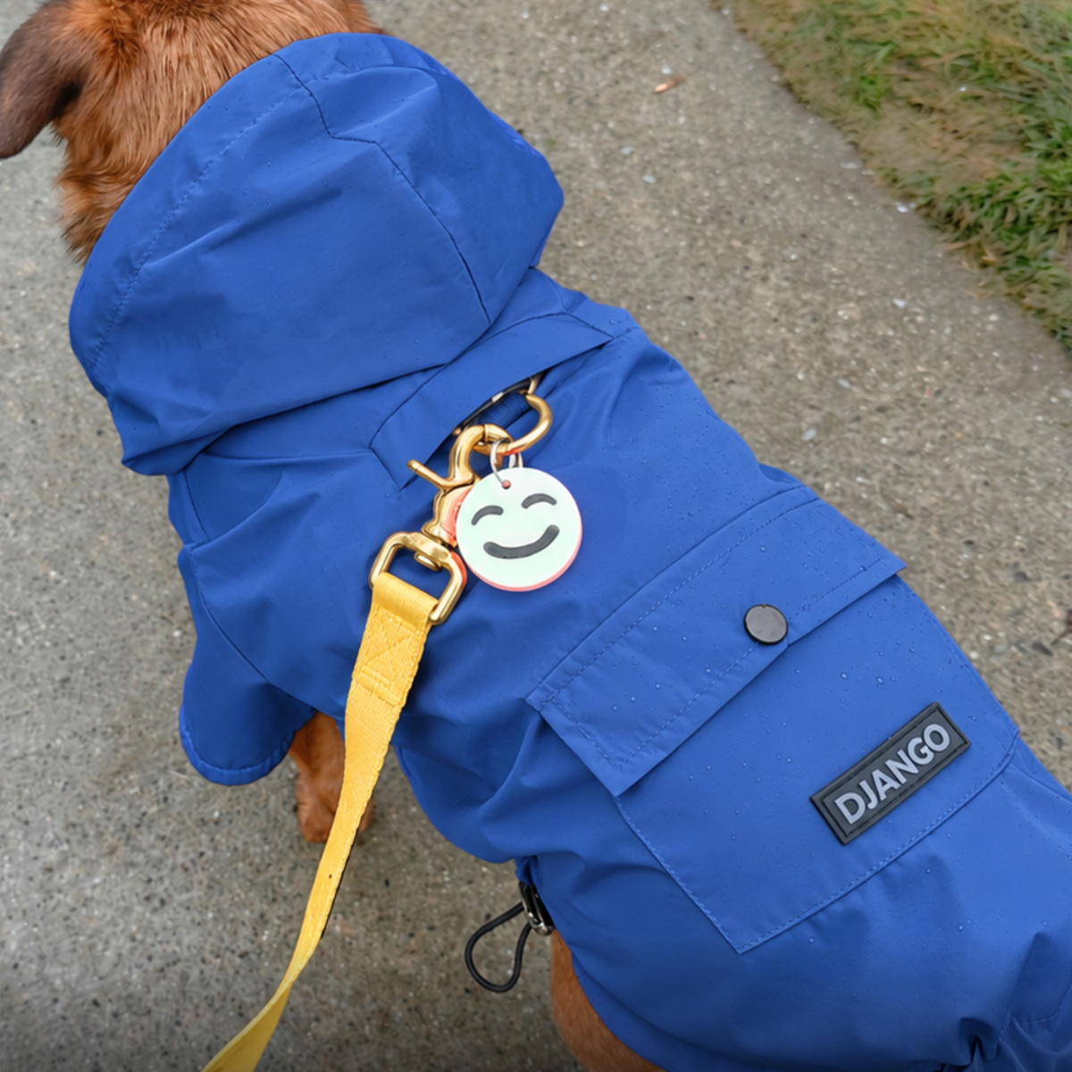 Mariner Blue Highland Dog Raincoat showing leash access through the covered harness hole and back leash portal