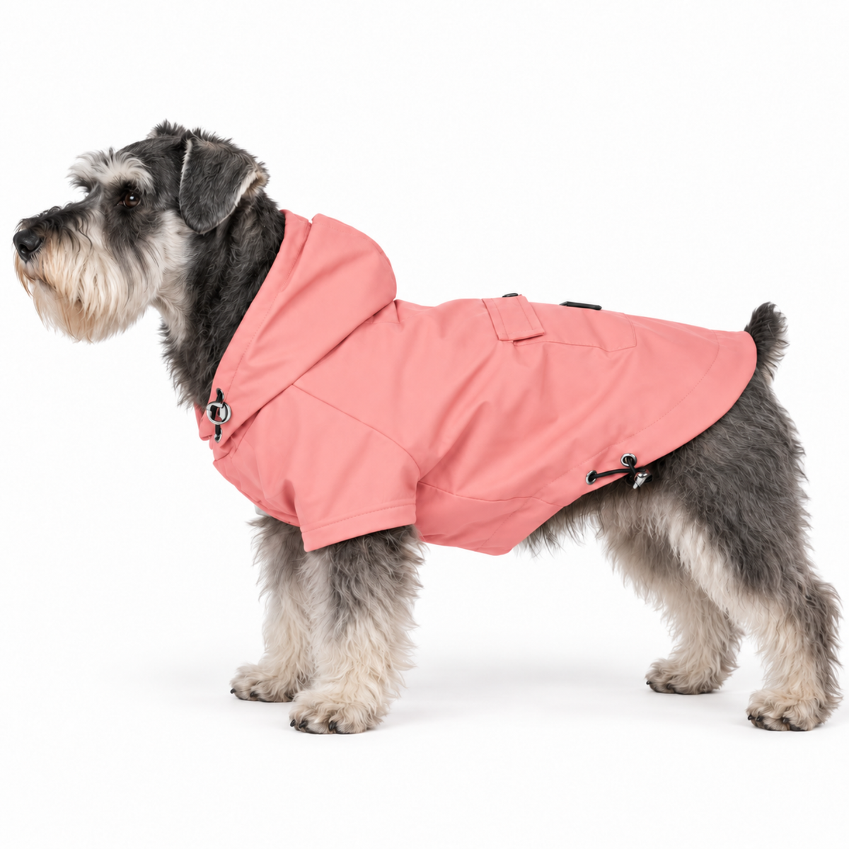 Miniature Schnauzer wearing the Quartz Pink Highland Dog Jacket & Raincoat with hood on a white background