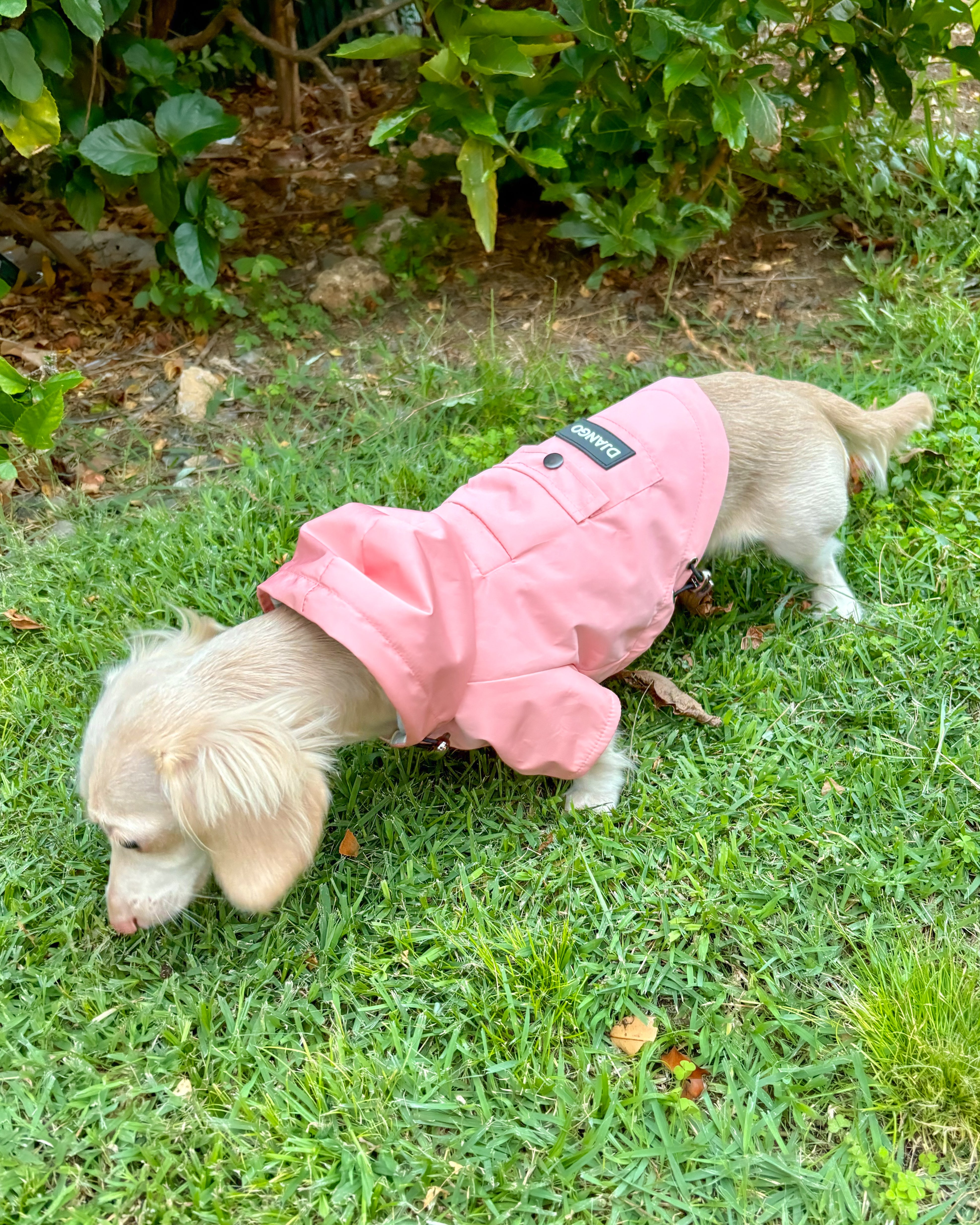 Dog Raincoat with Sleeves: Designed with sleeves to keep your dog's legs dry, this pink raincoat offers extra coverage and a cozy fit during rainy adventures