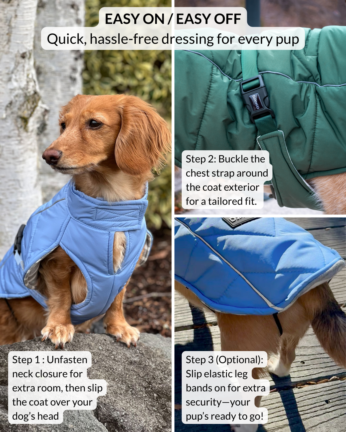 Dogs wearing premium winter dog coat with instructions on how to put it on, including steps for neck closure and leg band attachment.