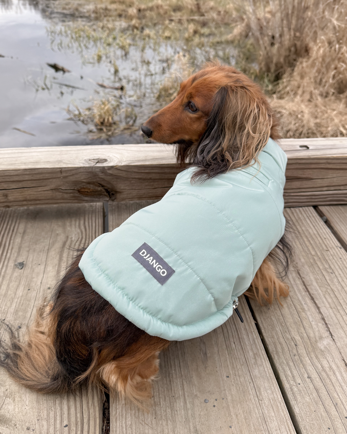 Available in a range of sizes, this insulated winter dog coat is ideal for small and medium-sized dogs. Its durable, machine-washable fabric makes it easy to clean after snowy or slushy adventures. Whether you’re looking for the best winter coat for small dogs or a stylish puffer coat for dachshunds, the Snowline™ is your go-to choice for winter warmth and protection.