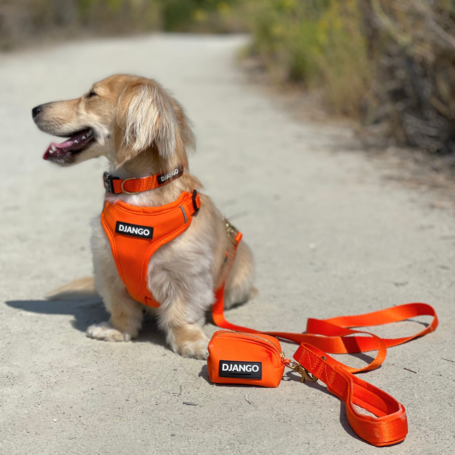 Sunset orange DJANGO Adventure Dog Collar, perfect for outdoor adventures, designed with durable fabric, solid brass fittings, and a side-release buckle for easy wear